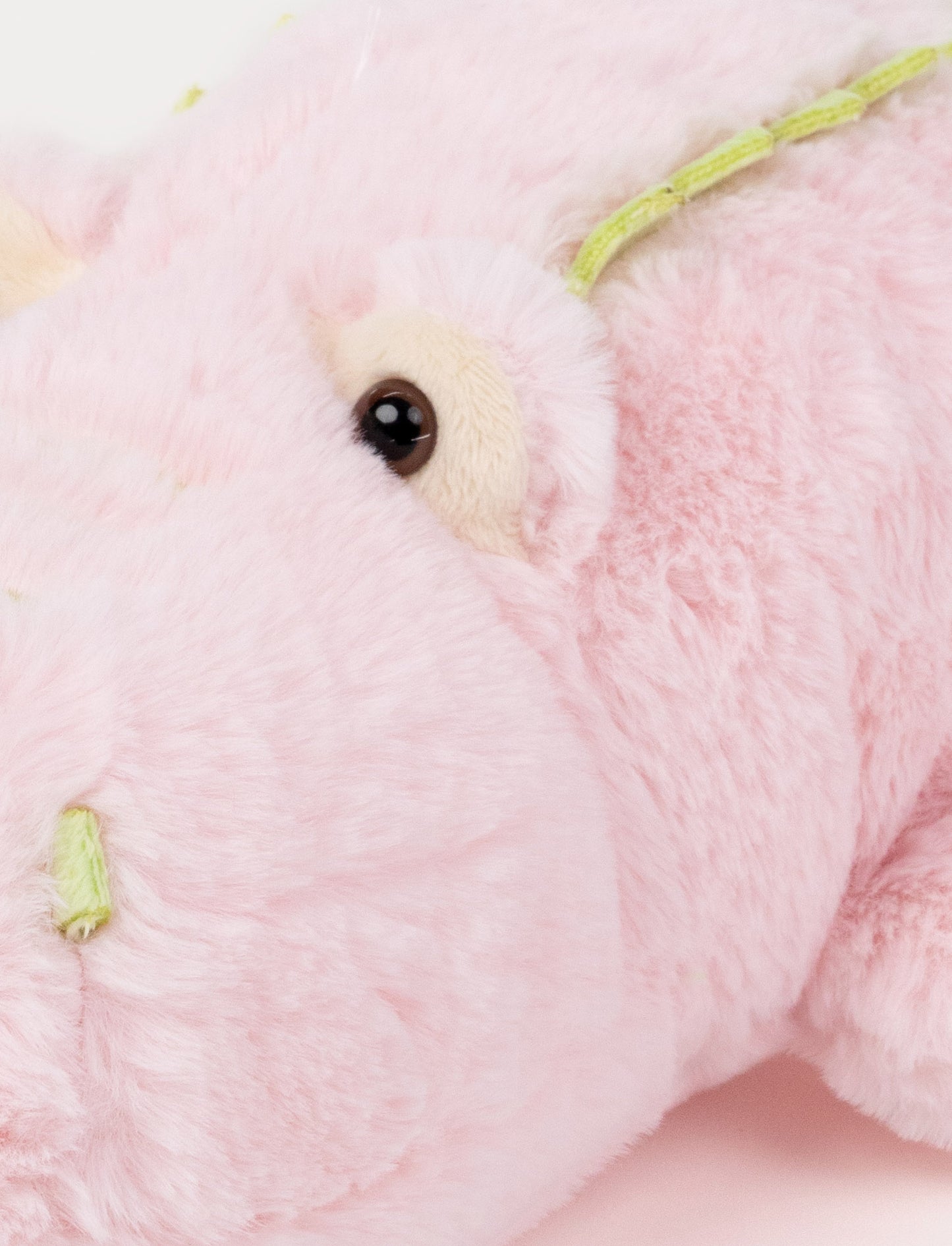 Cool Crocs, Stina Sr