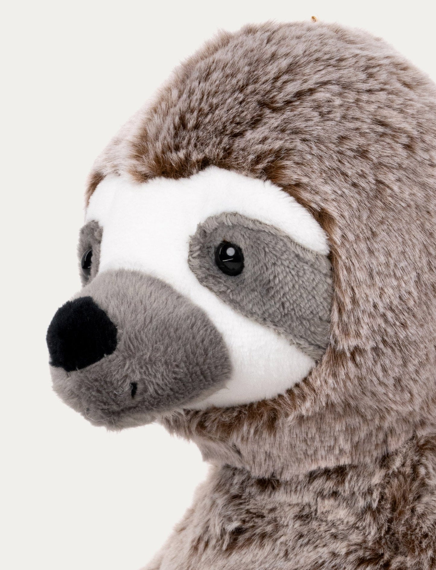 Teddy Wild, Sloth