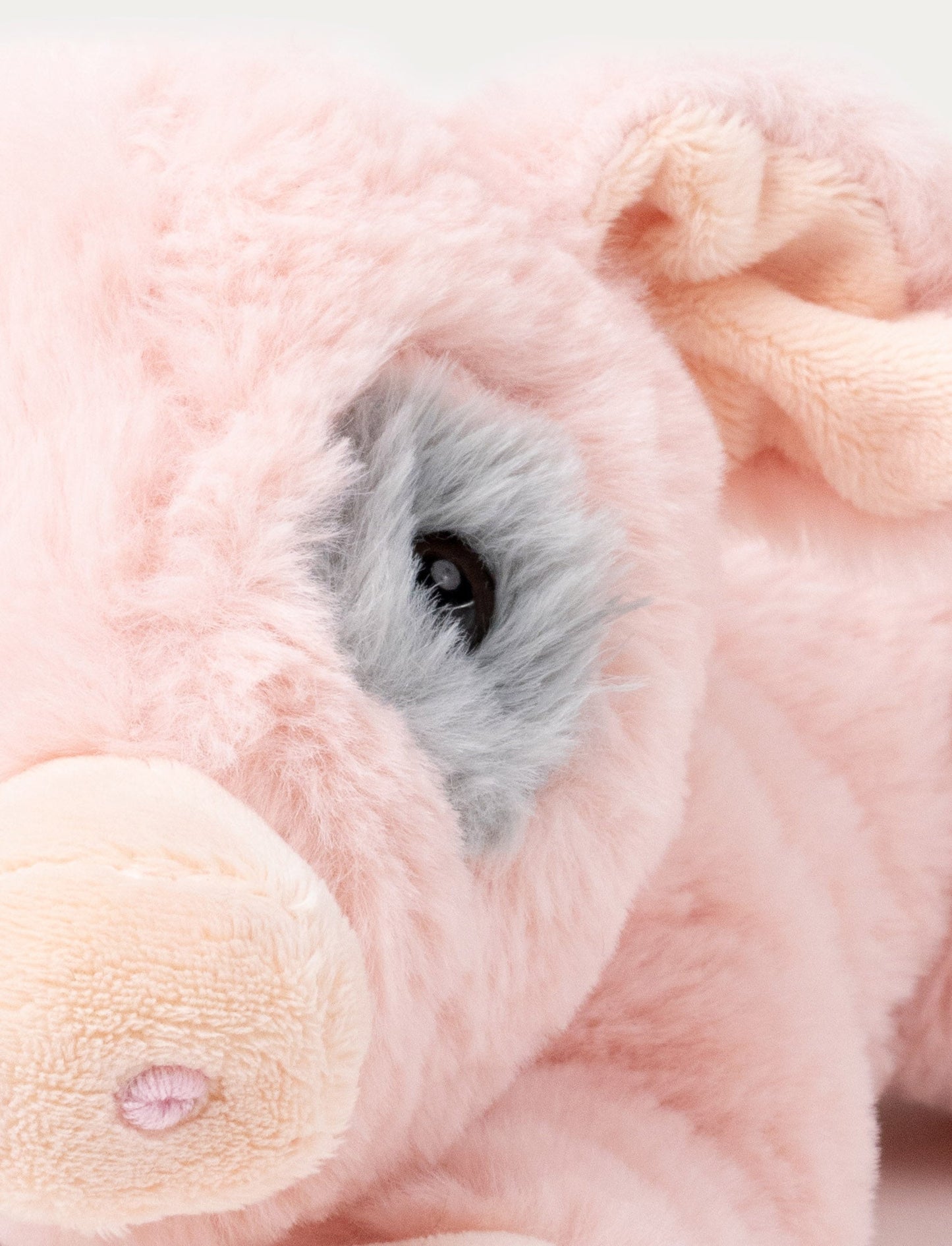 Teddy Farm, Liggande gris