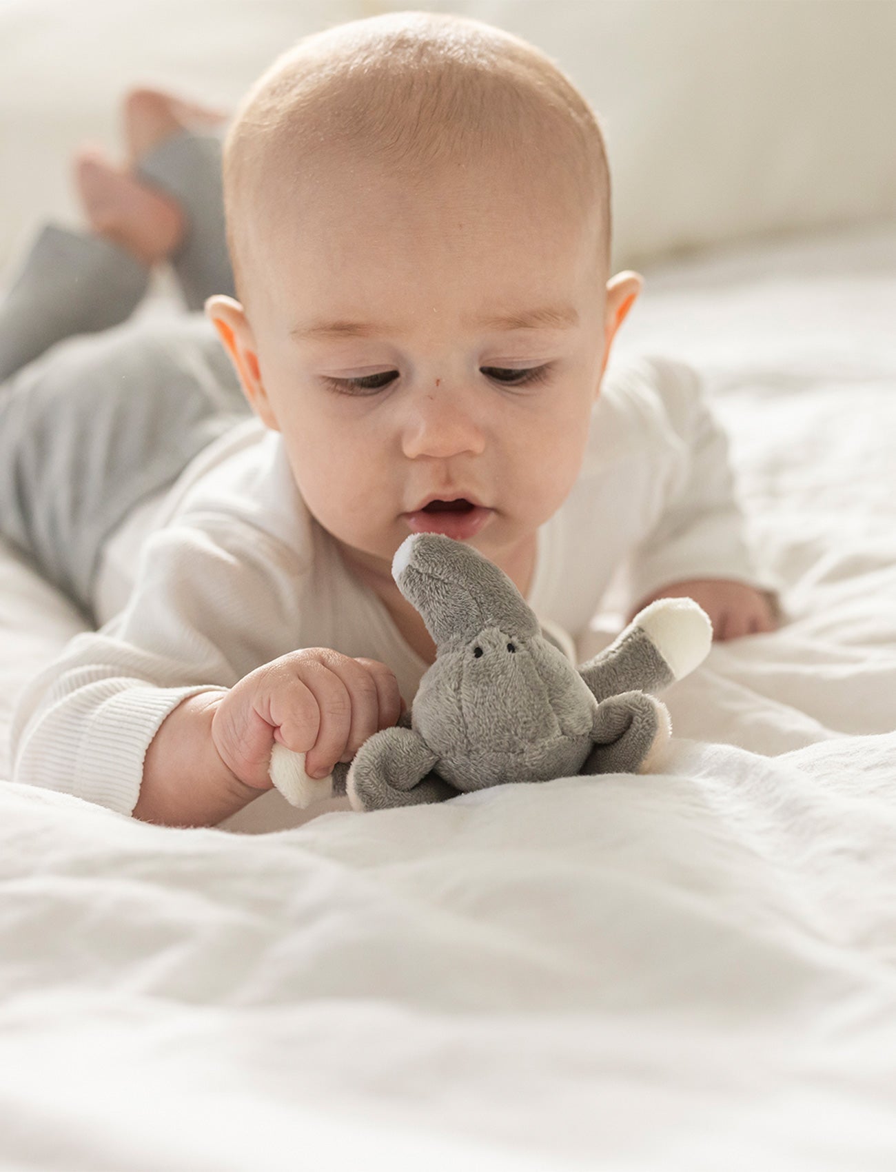 Diinglisar, Rattle, Elephant