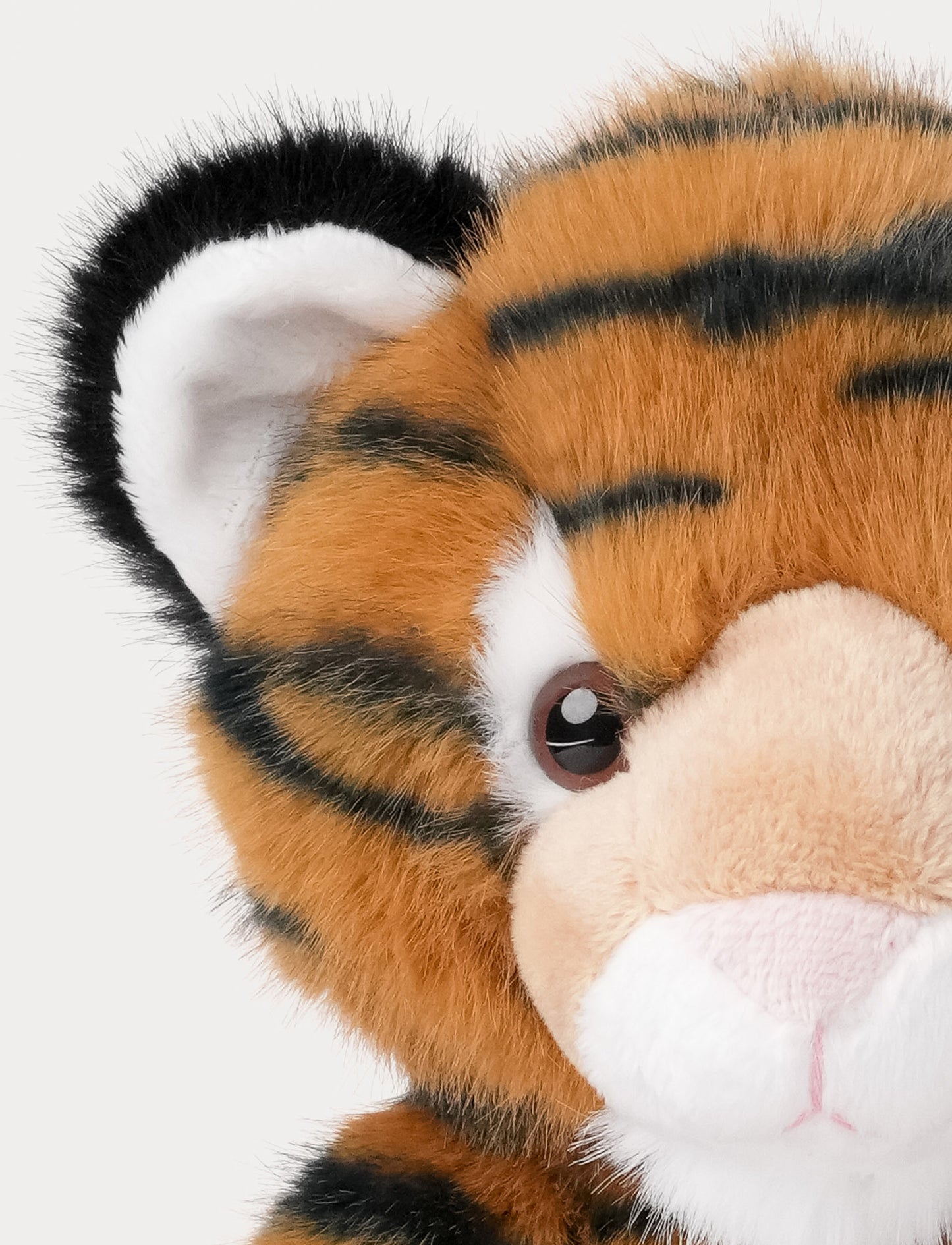 Teddy Wild, Tiger