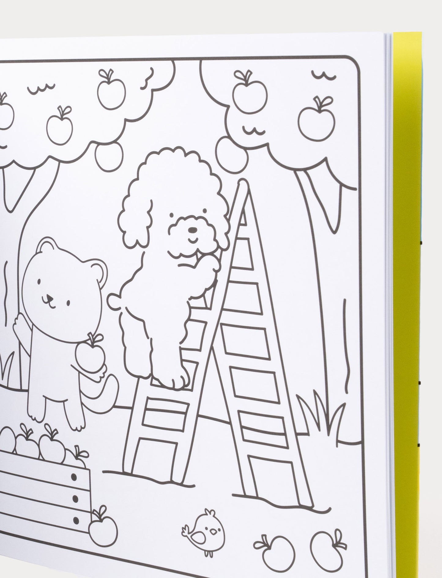 Sunny vibes - Sweet Life