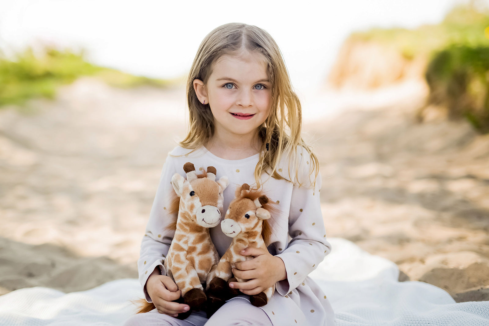  Image of Forest & Wild Animals