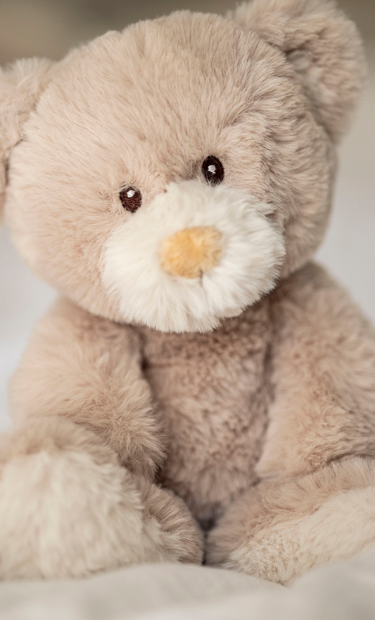  Image of Teddy Bears