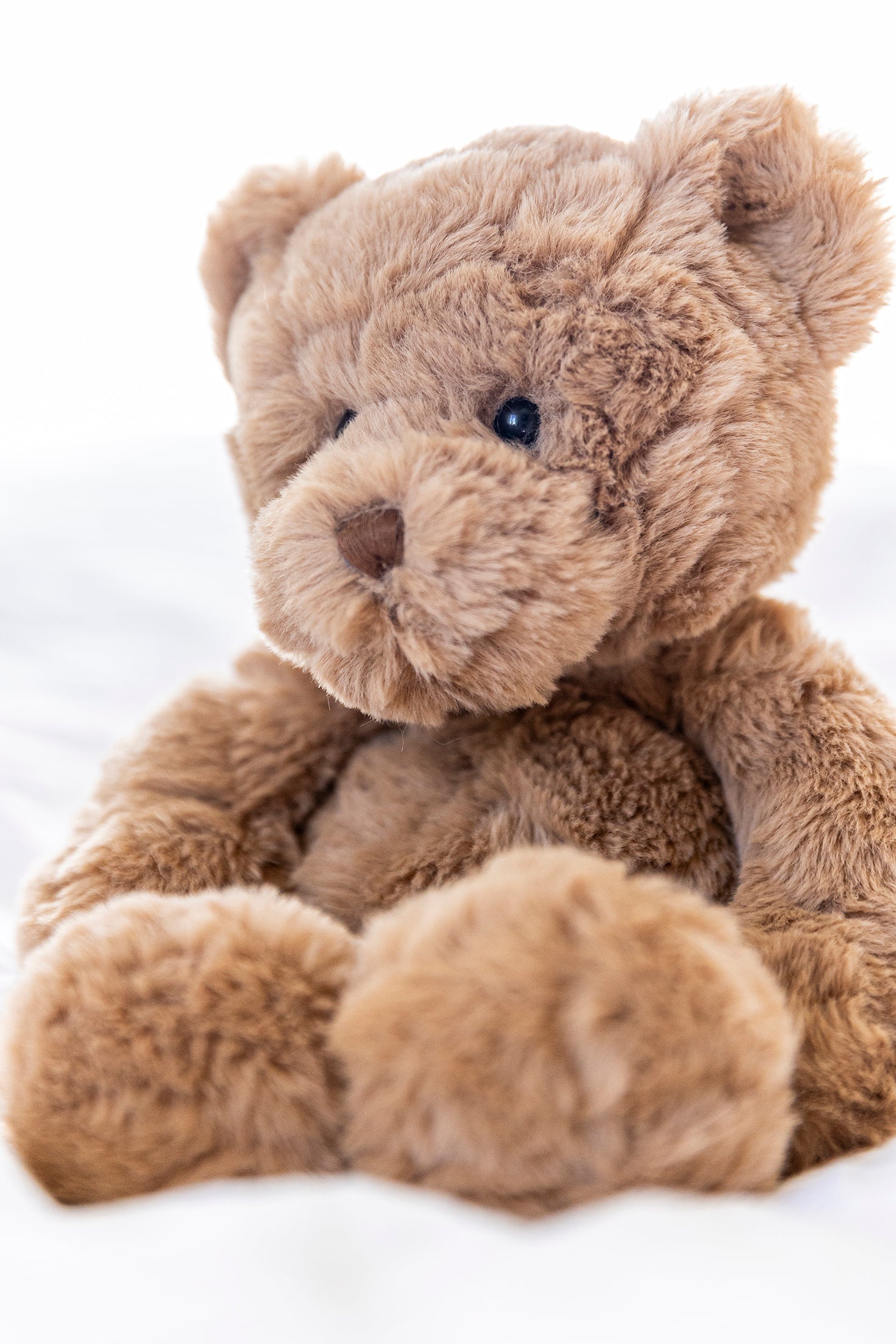  Image of Stuffed Animals