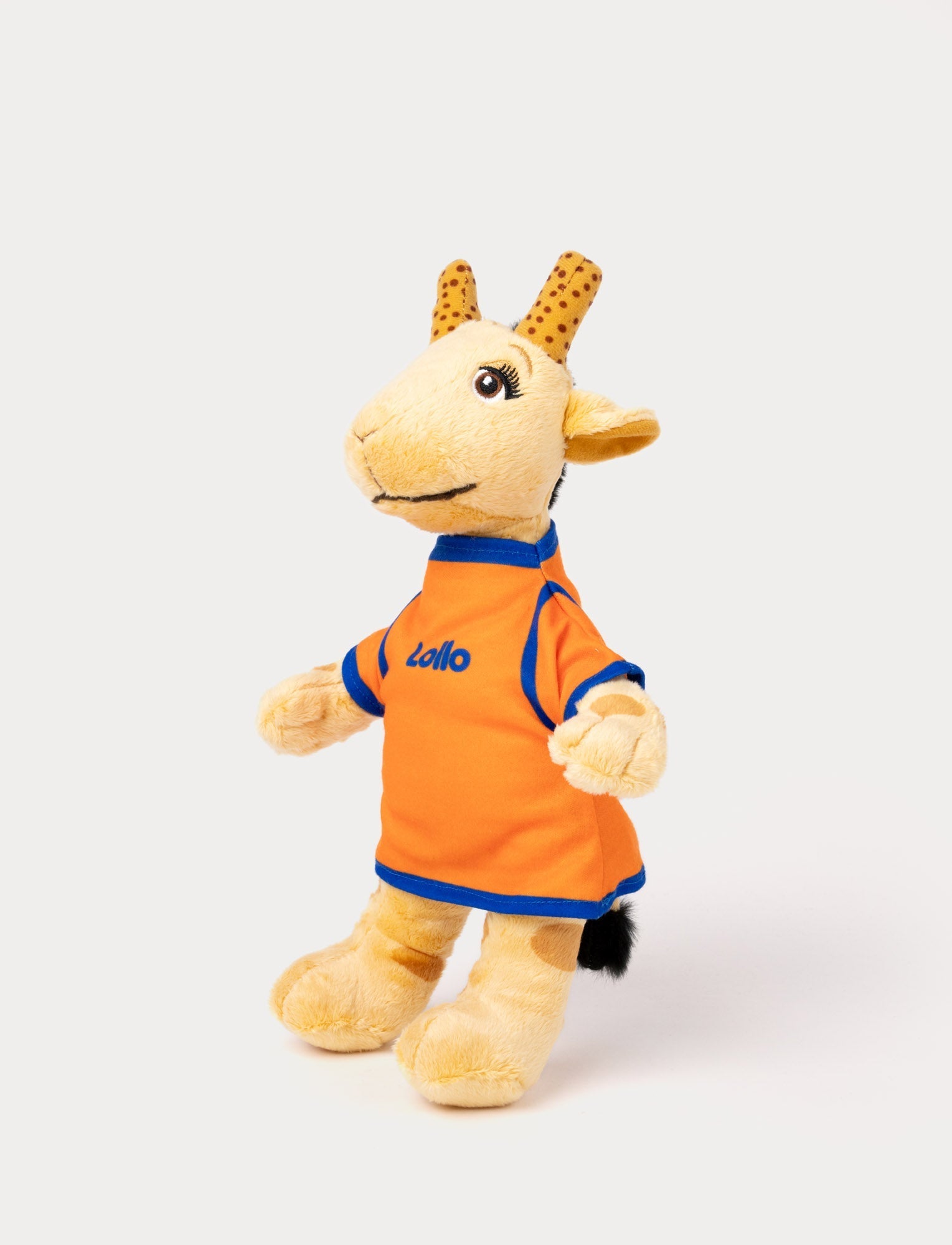  Image of Lollo & Bernie, Lollo