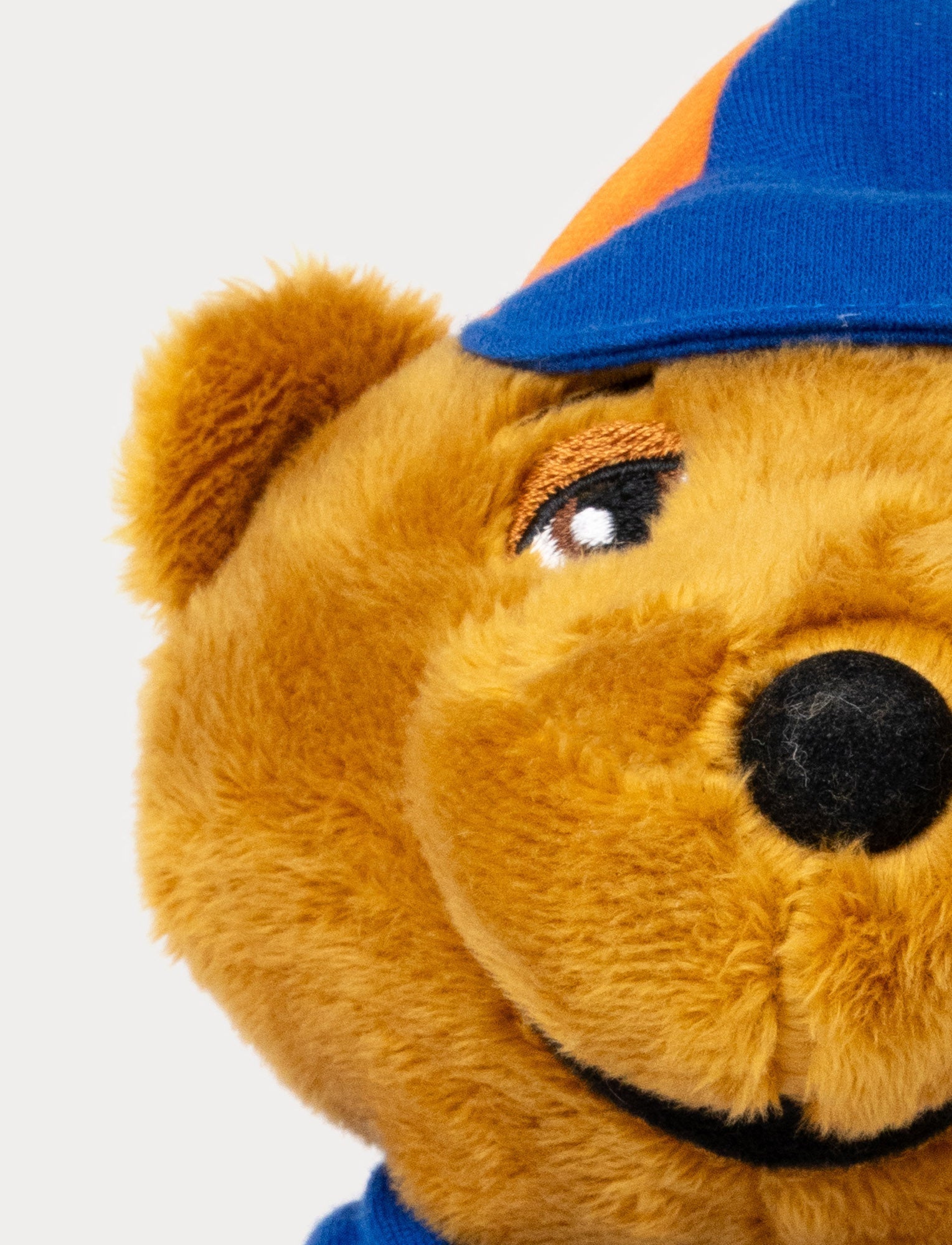  Image of Lollo & Bernie, Bernie