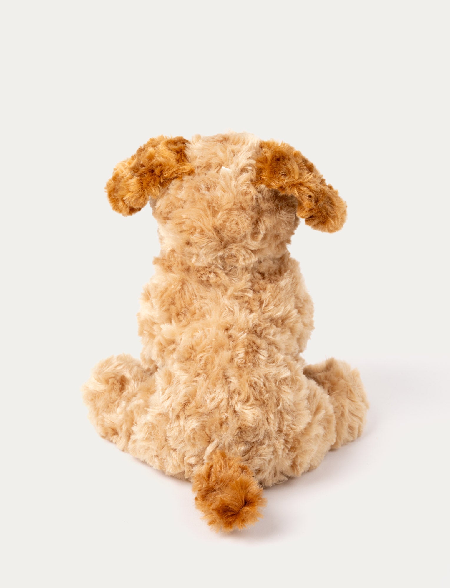  Image of Teddy Dogs, Dog