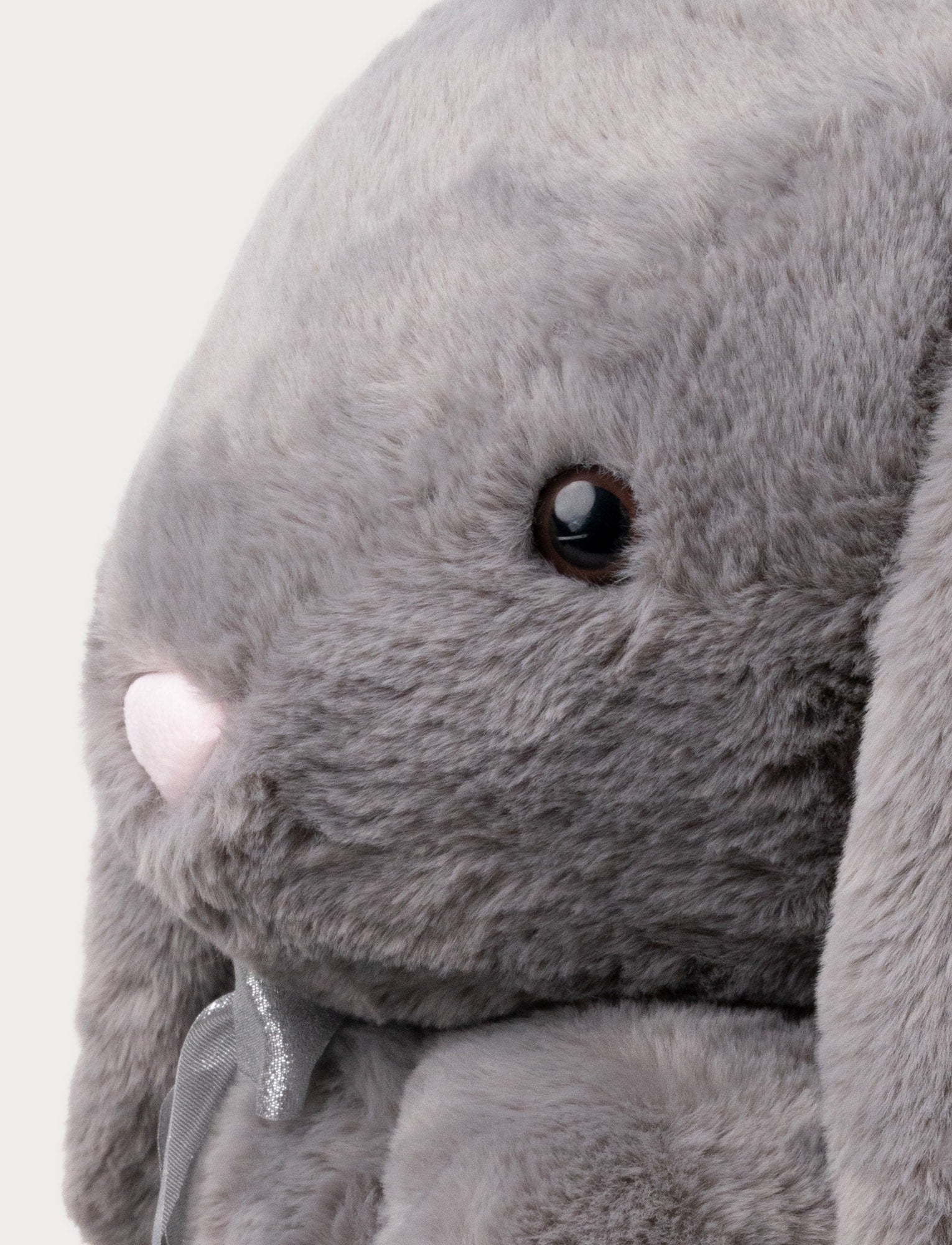  Image of Olivia, Bunny