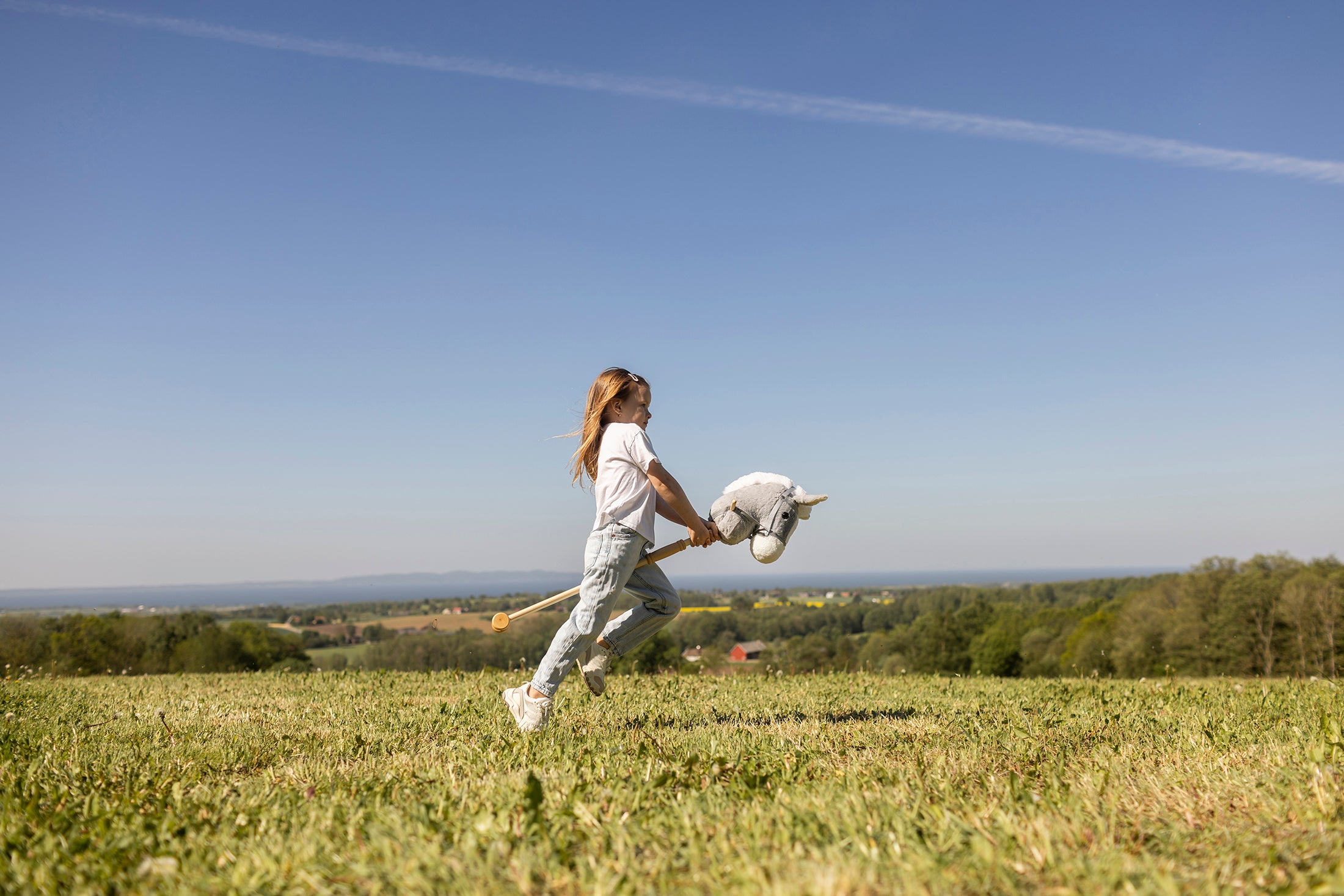  Image of files/13009_GirlHobbyHorseRun_LOW.jpg