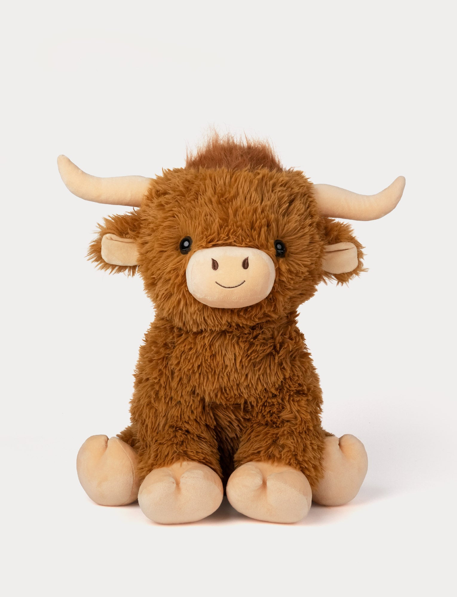  Image of Highland Cow