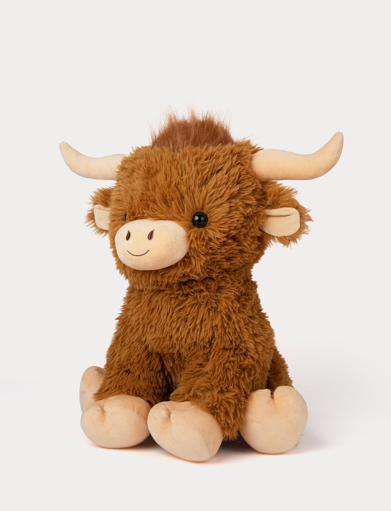  Image of Highland Cow