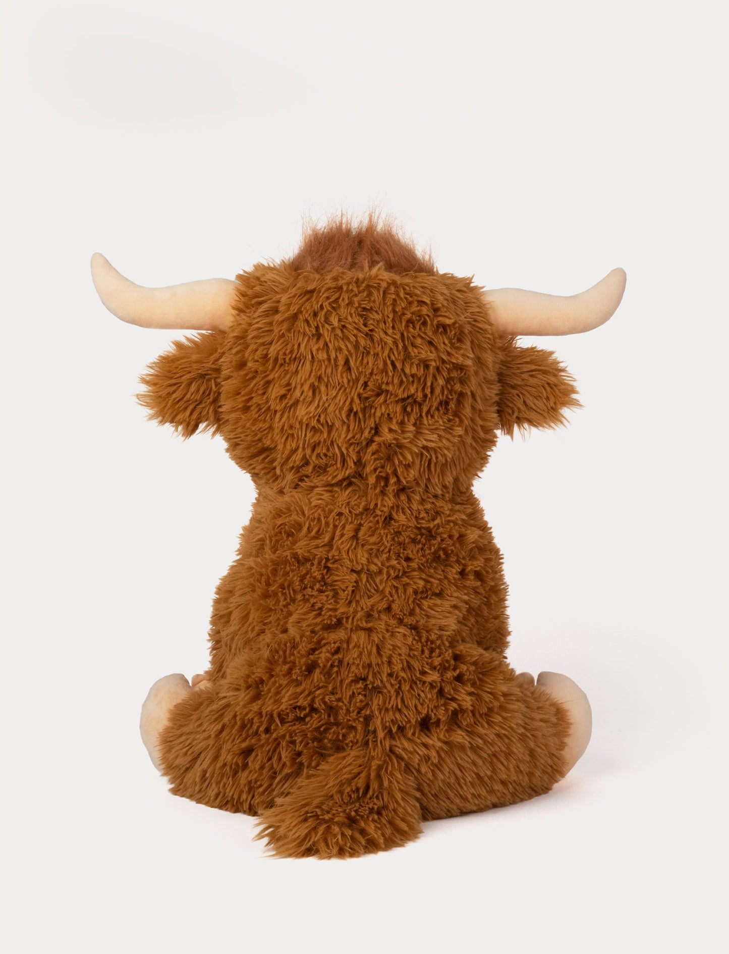 Highland Cow