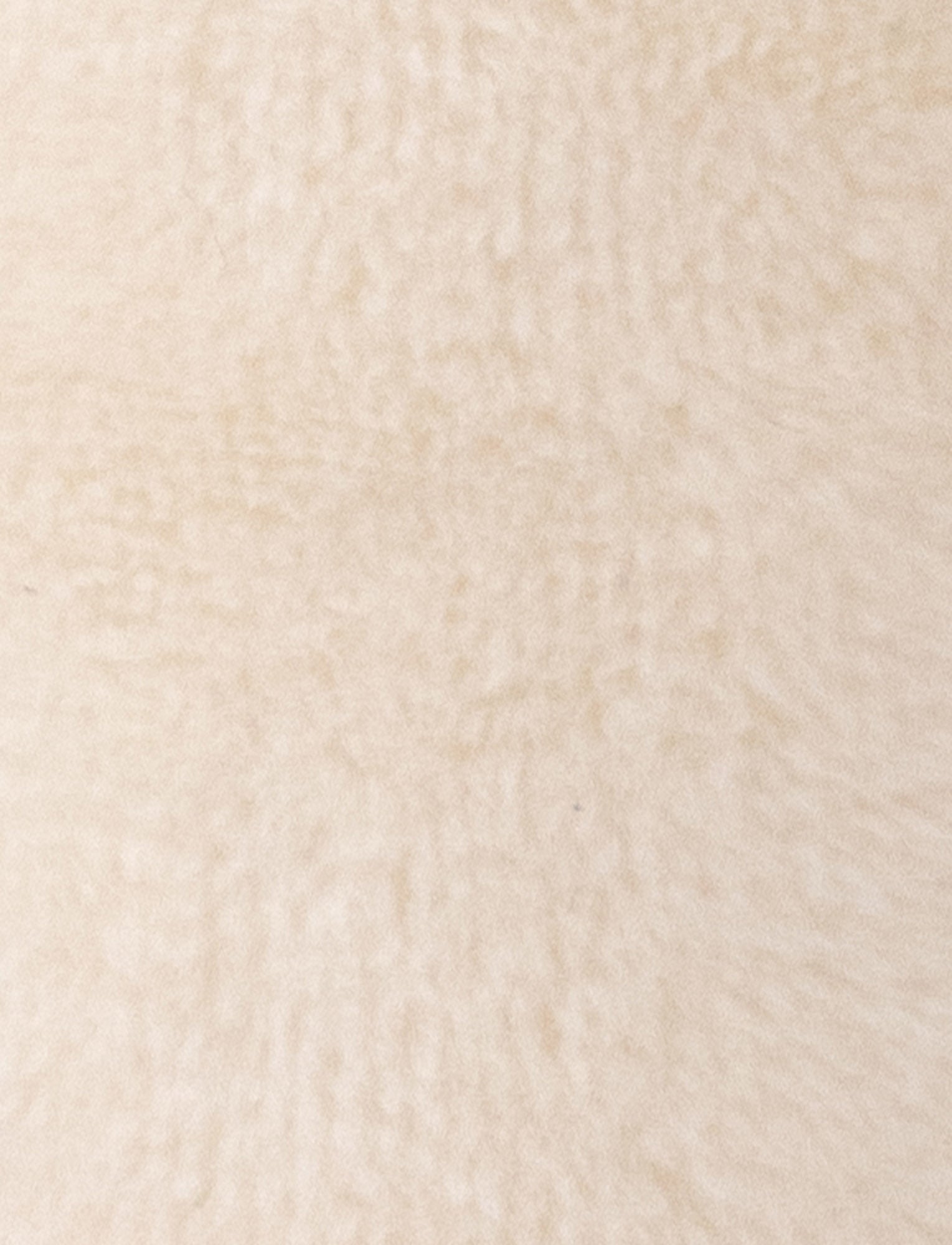  Image of Diinglisar, Rattle, Bunny