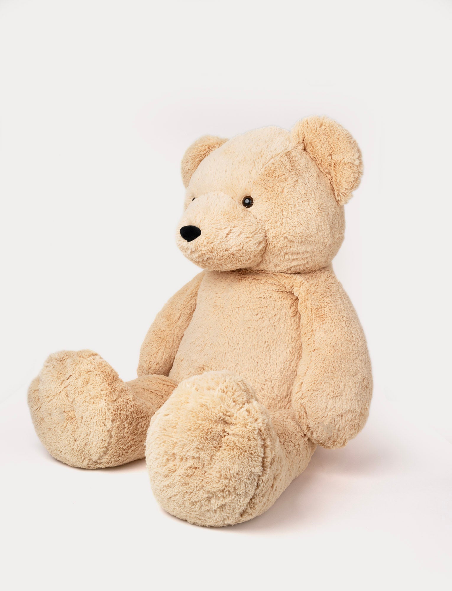  Image of Holger, Teddy Bear, Big