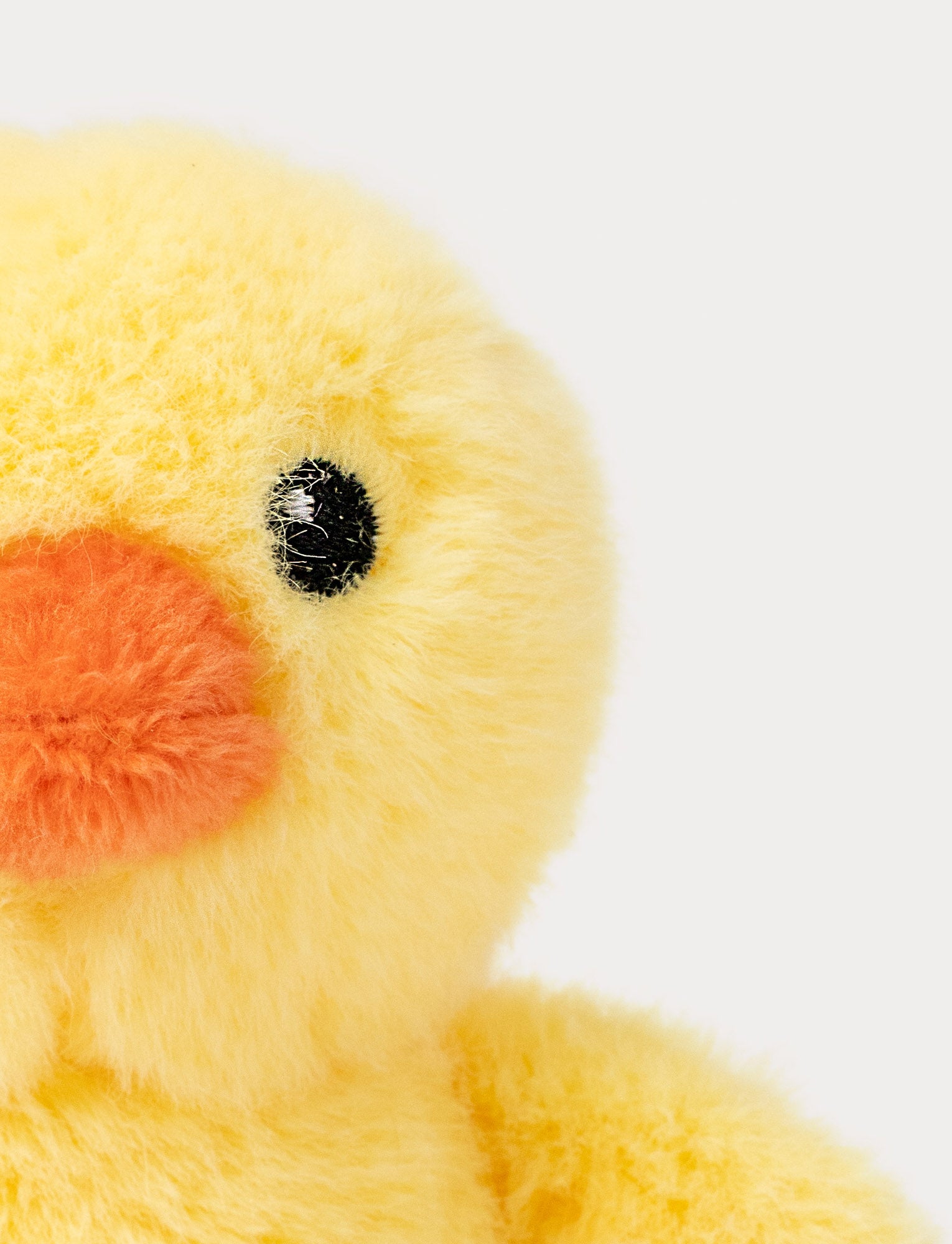  Image of Gullefjun m. ljud