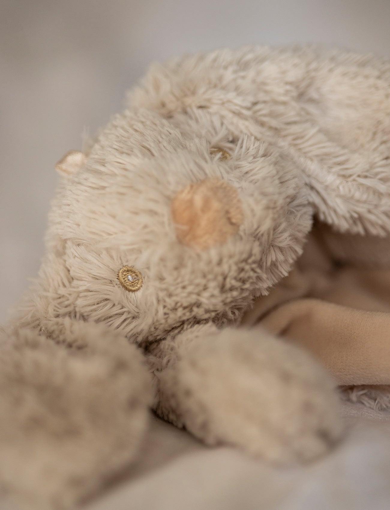  Image of Lolli Bunnies, Snuttefilt, Kanin