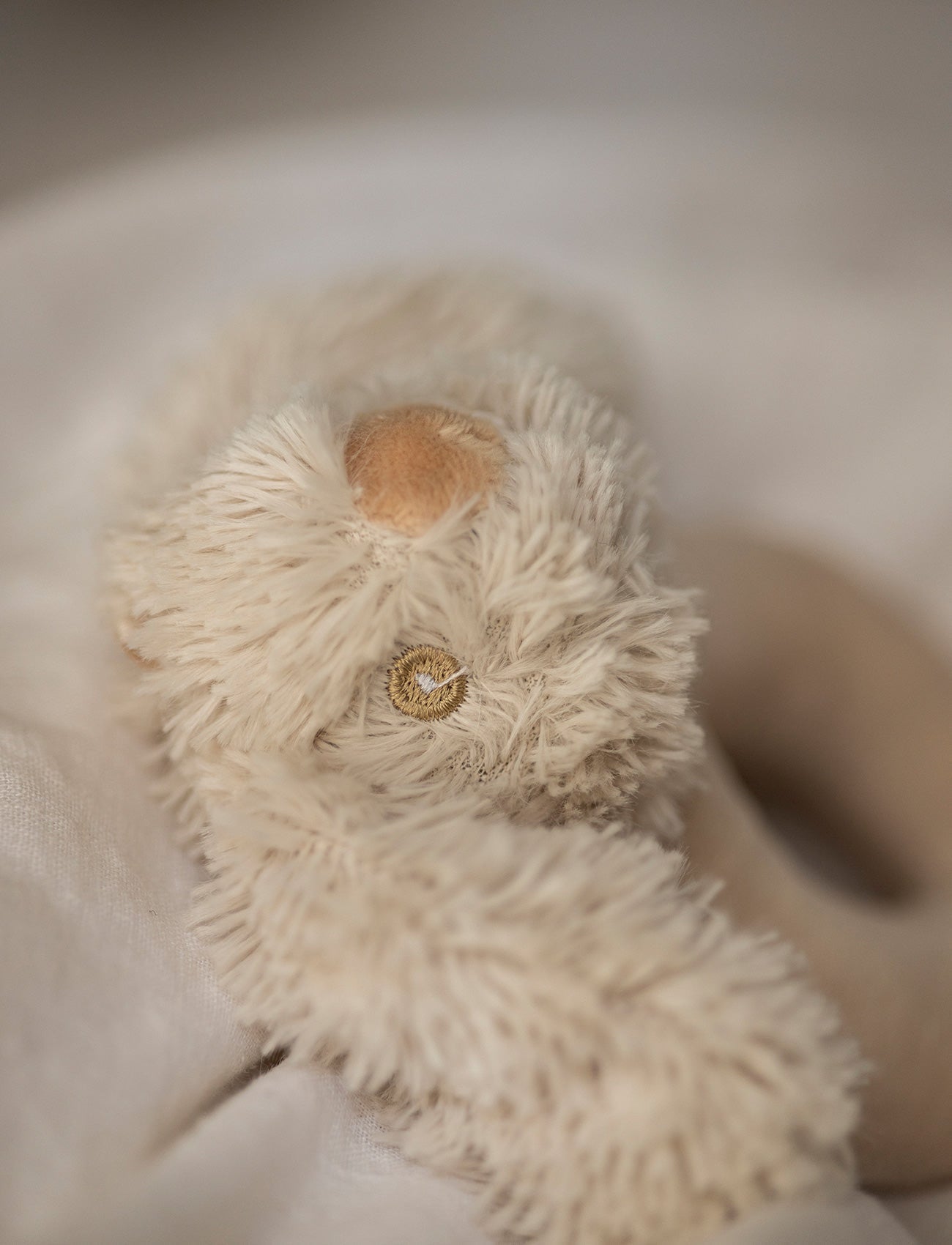  Image of Lolli Bunnies, Rattle, Bunny