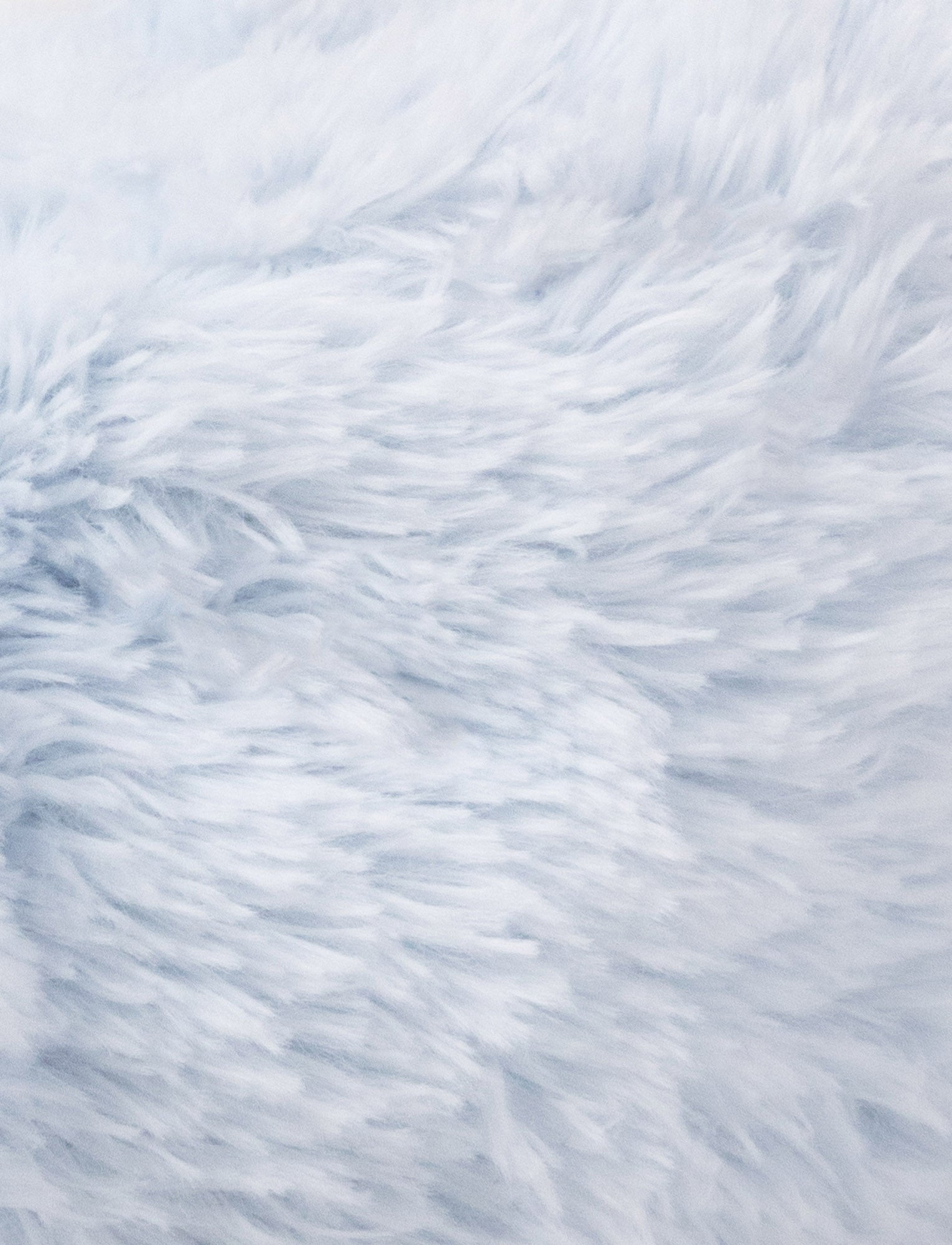  Image of Lolli Bunnies, Slippers