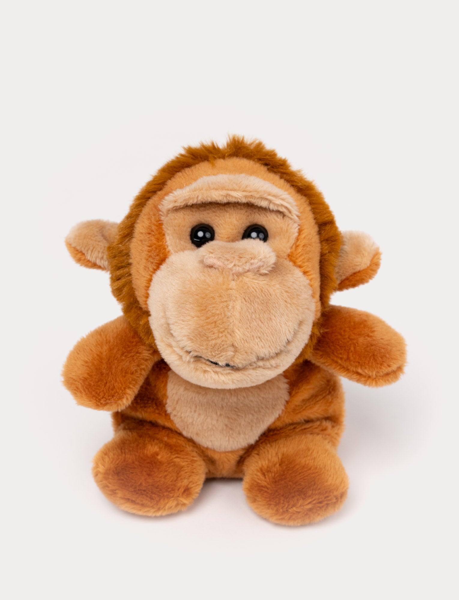  Image of Teddy Wild Beanies