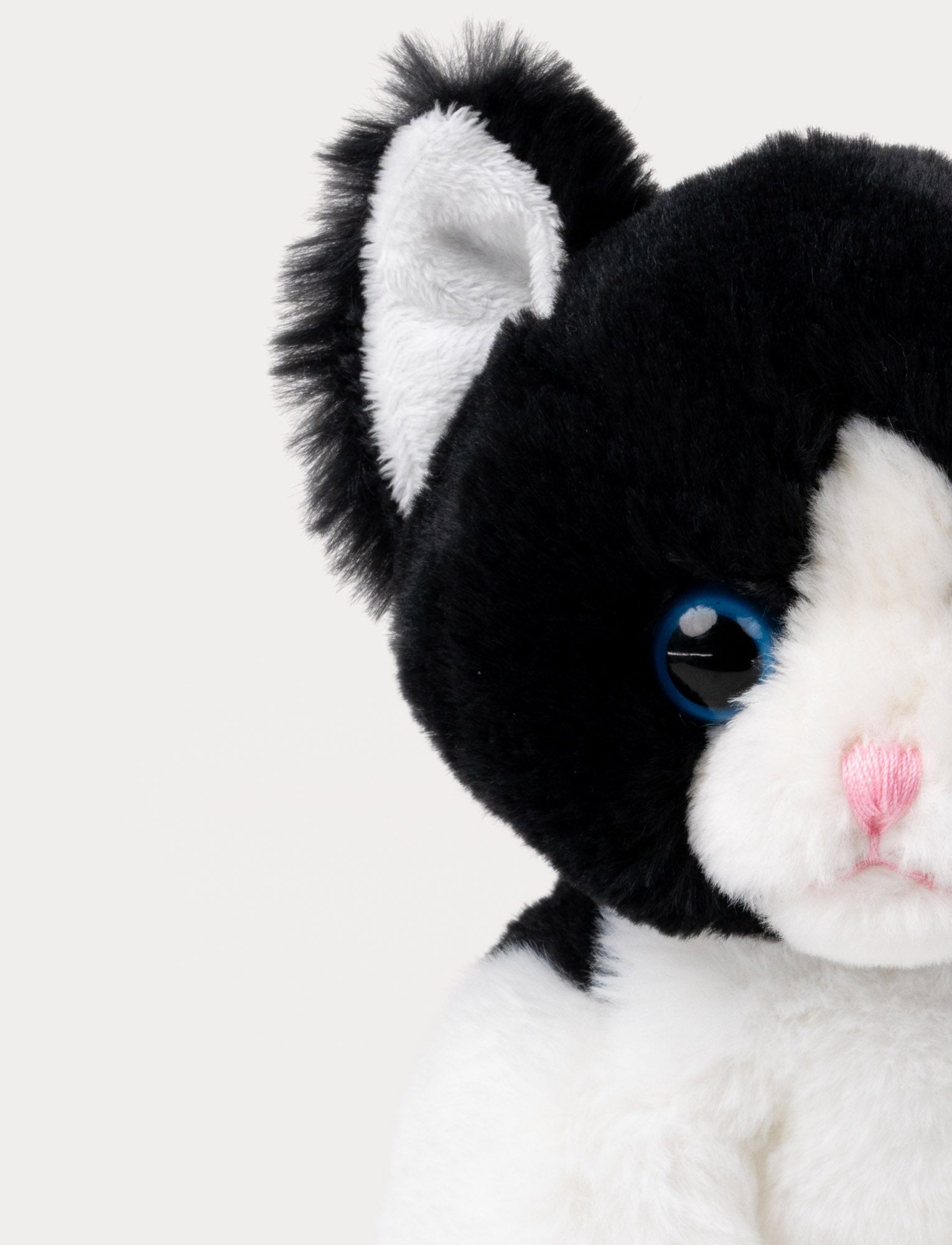  Image of Cat Friends, Mojje