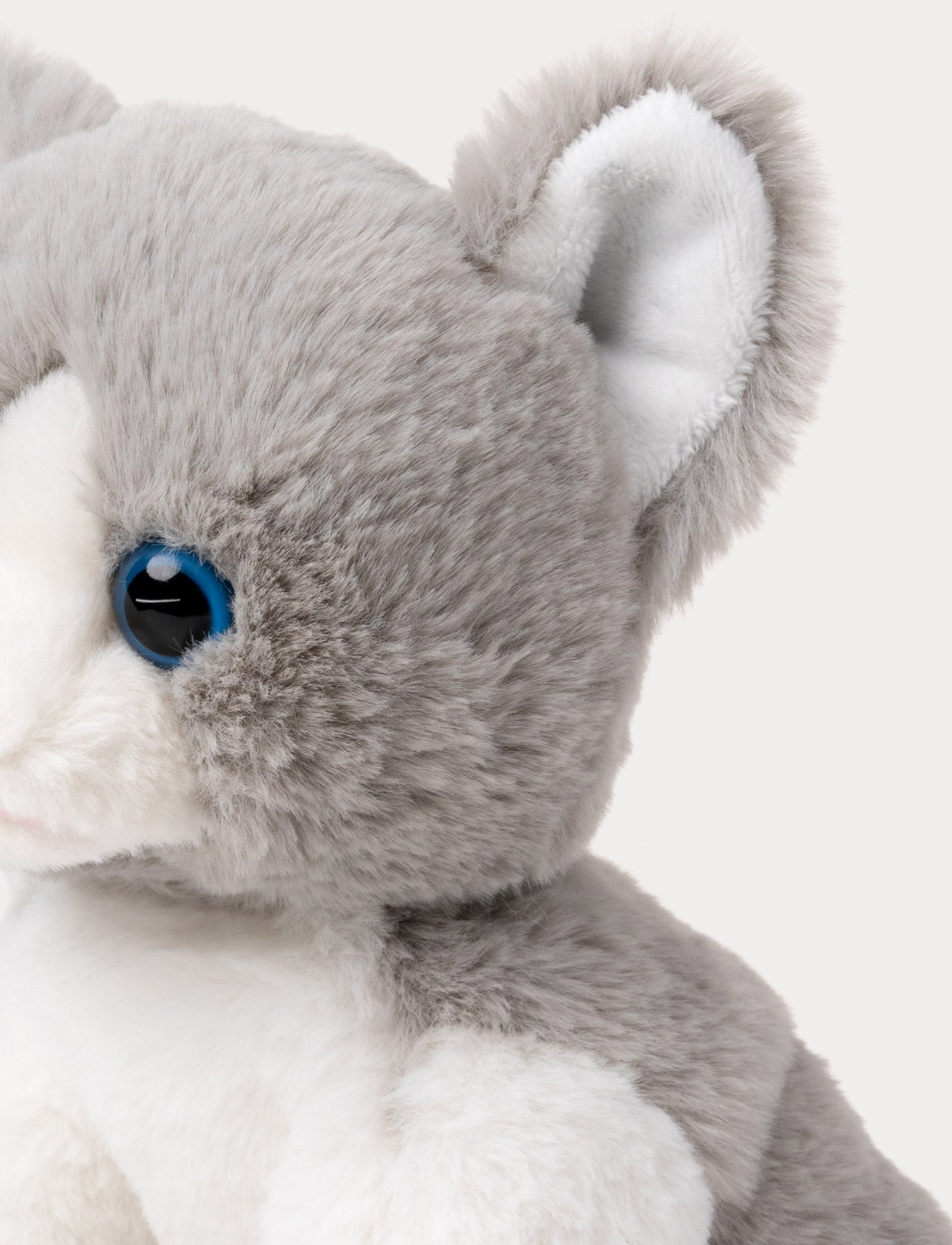  Image of Cat Friends, Maja