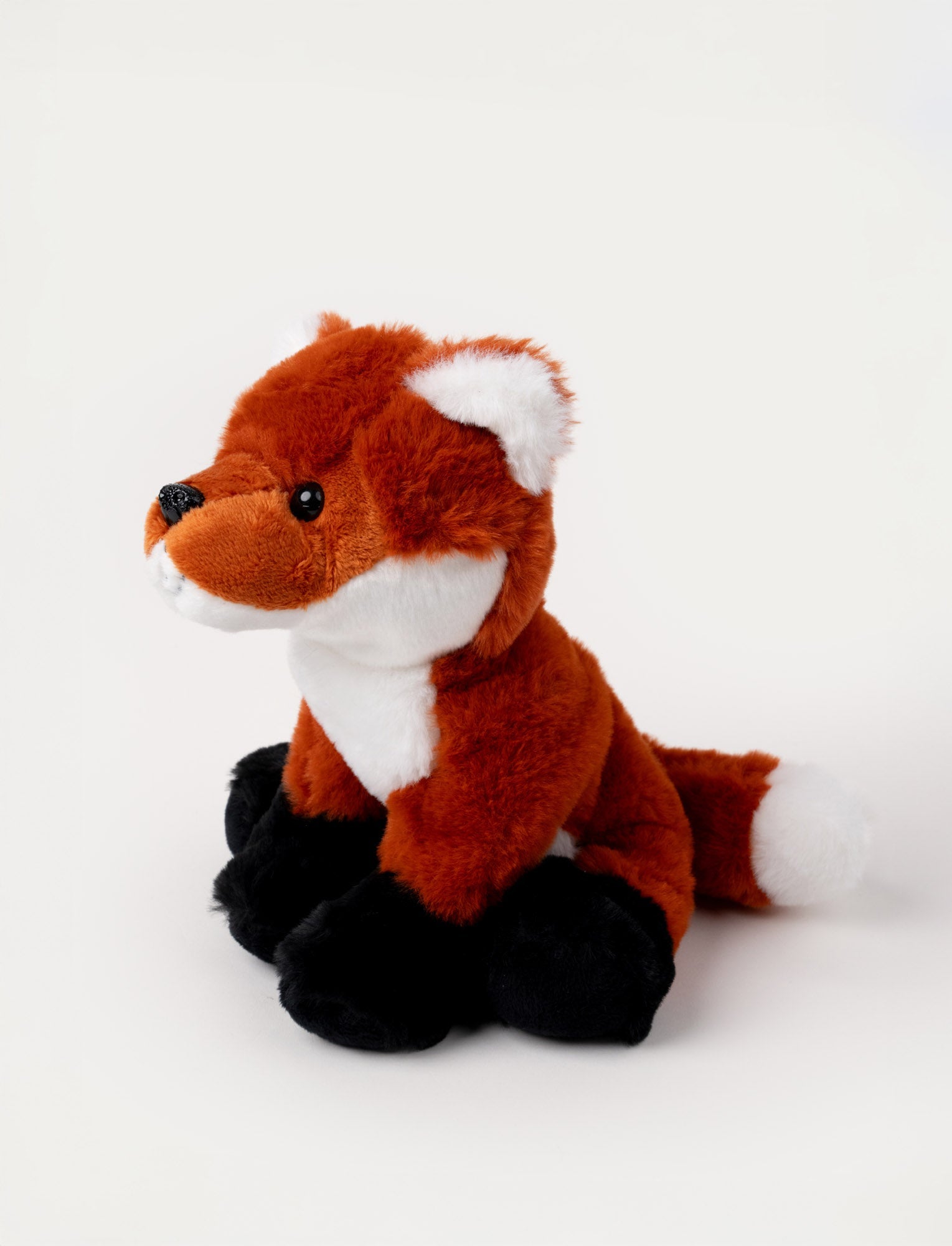  Image of Fox
