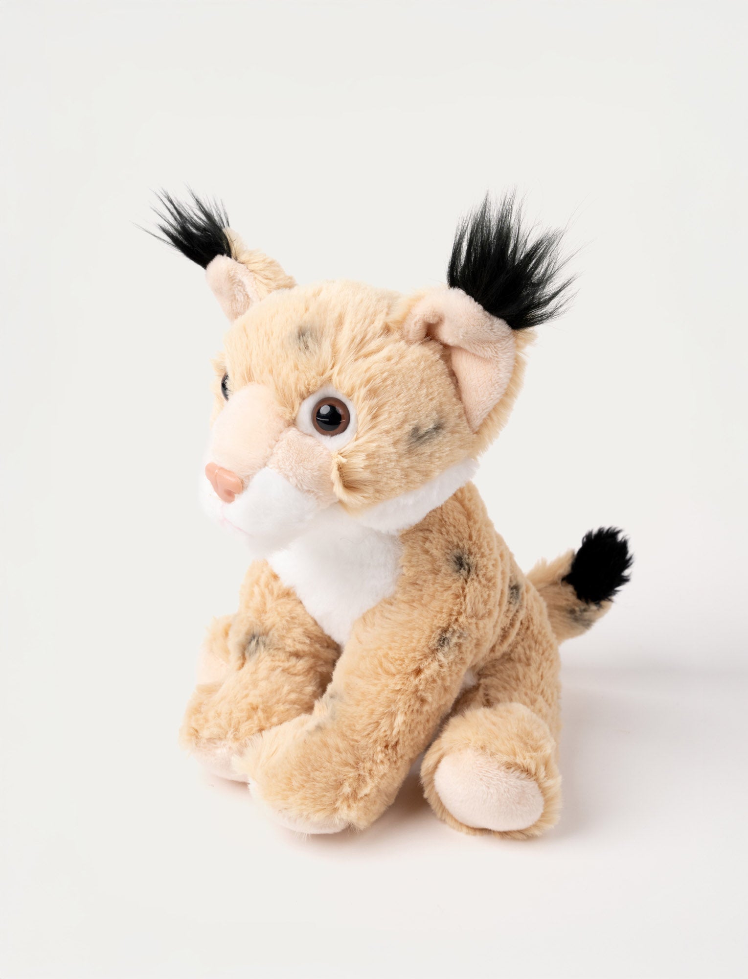  Image of Teddy Forest, Lynx