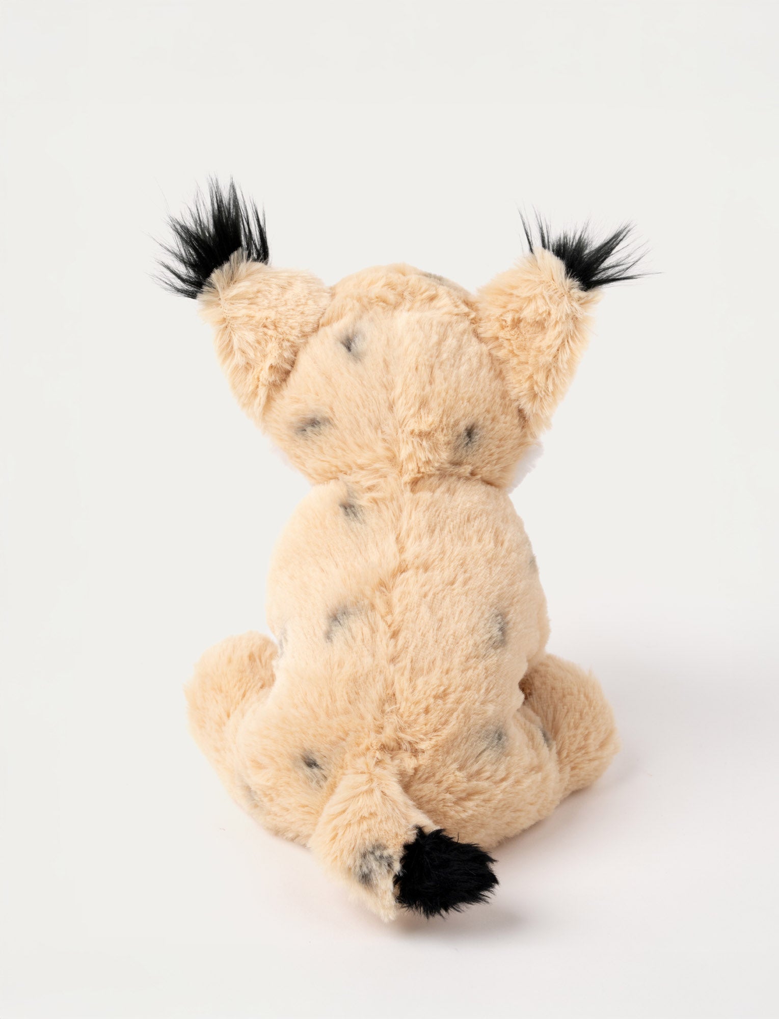  Image of Teddy Forest, Lynx