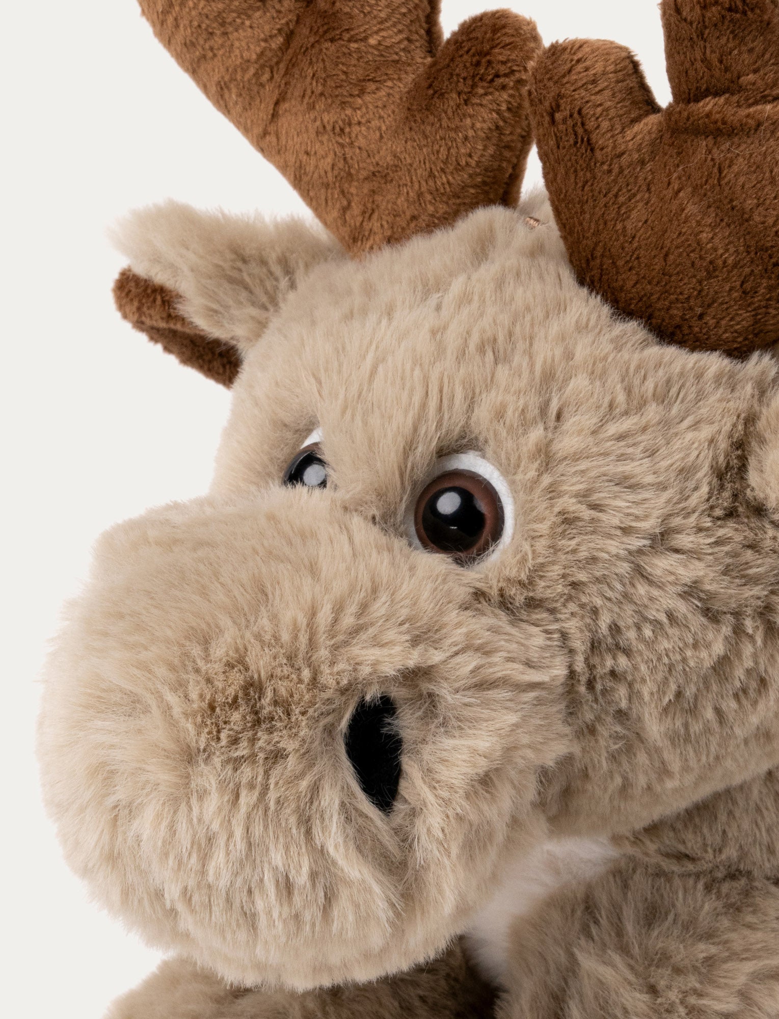  Image of Dreamies, Moose