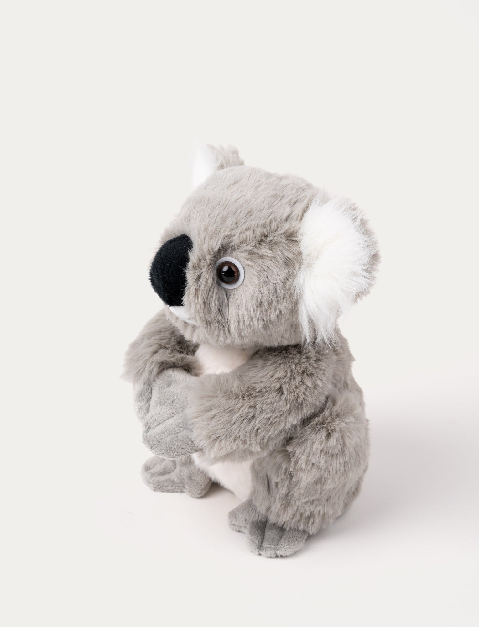  Image of Dreamies, Koala