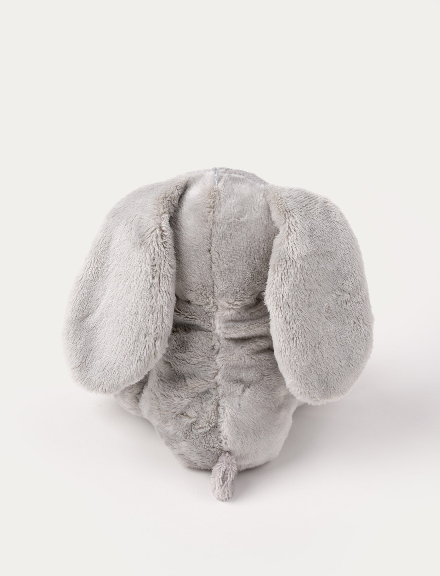  Image of Wilma, Bunny