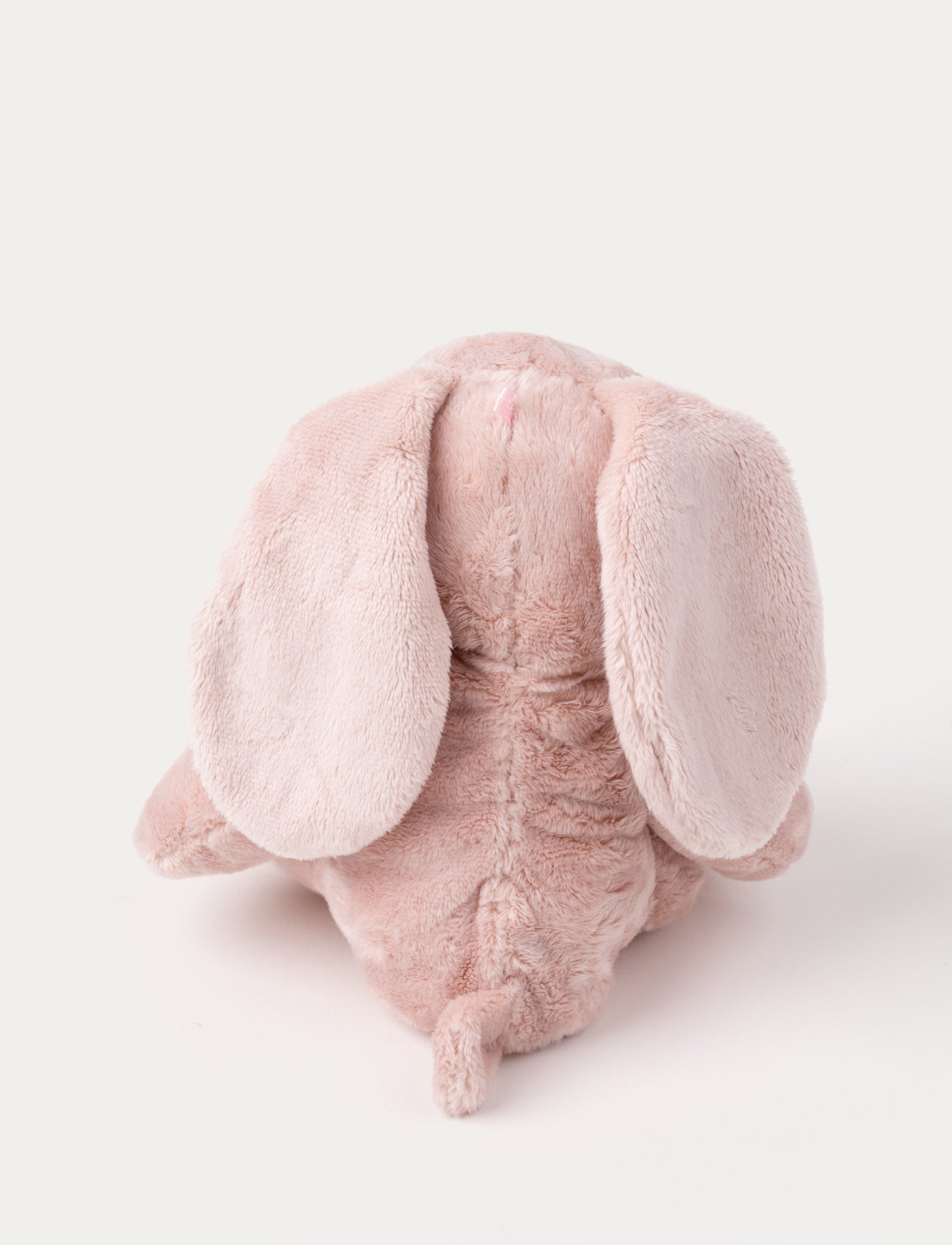  Image of Wilma, Kanin