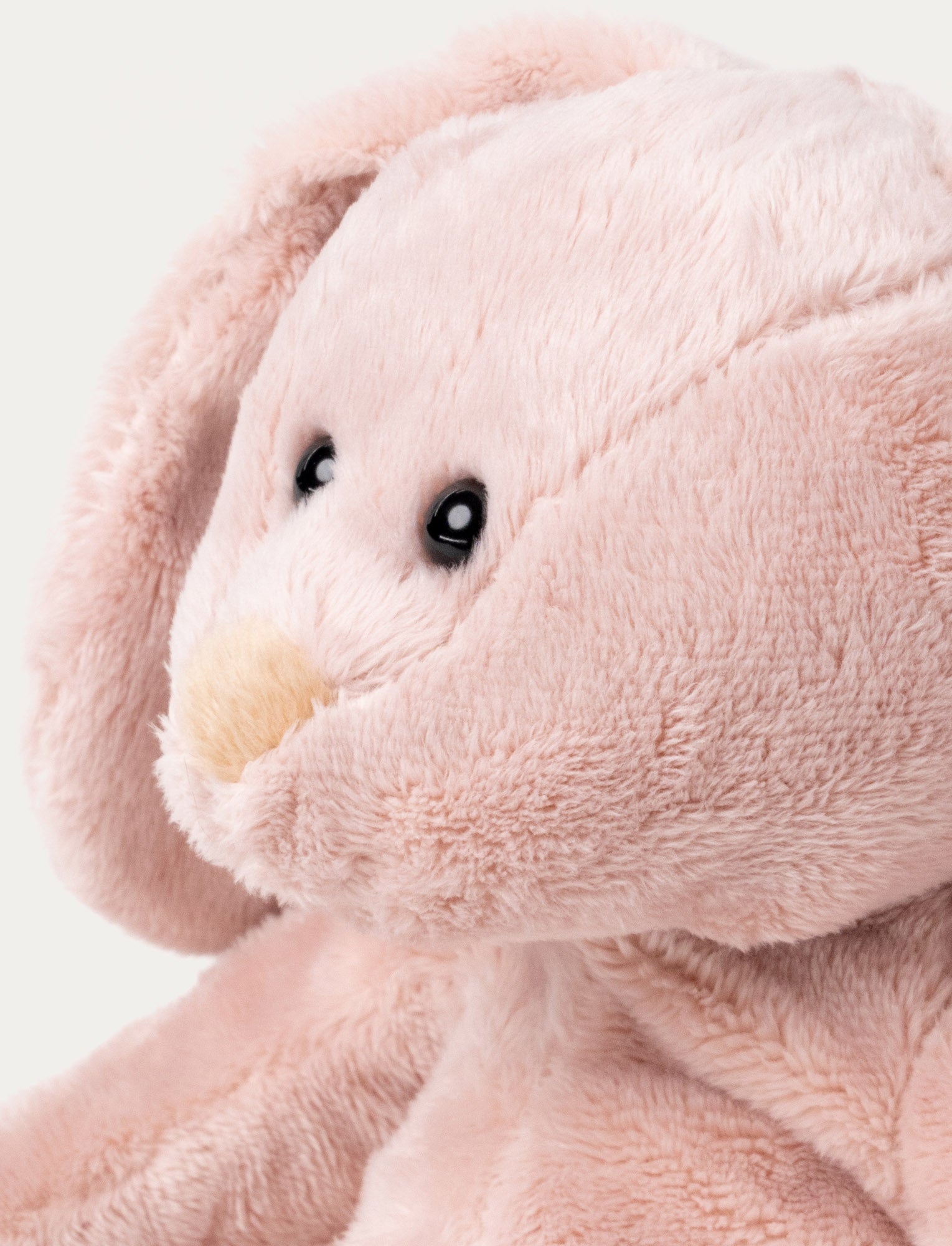  Image of Wilma, Kanin