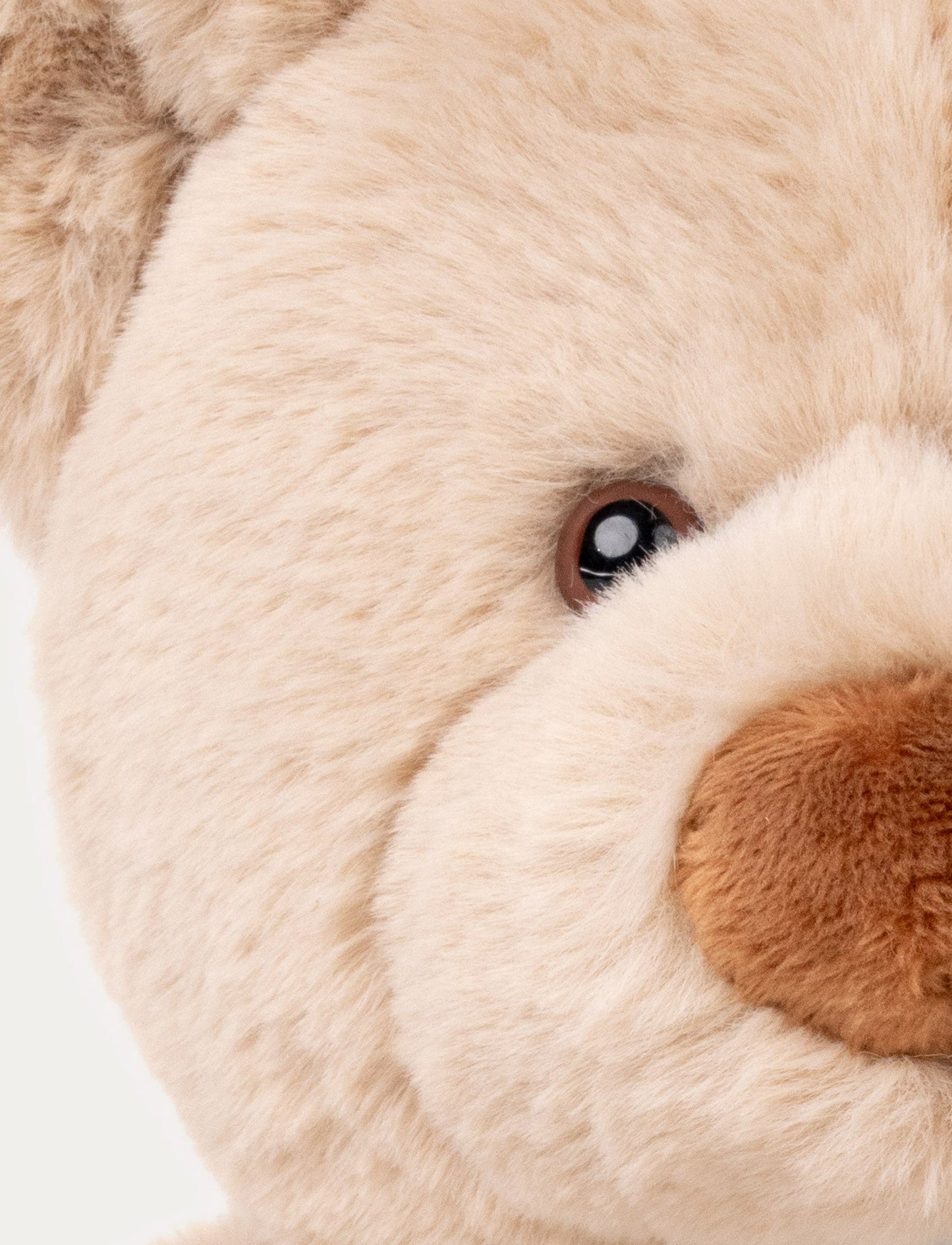 Malte, Teddy Bear, Big