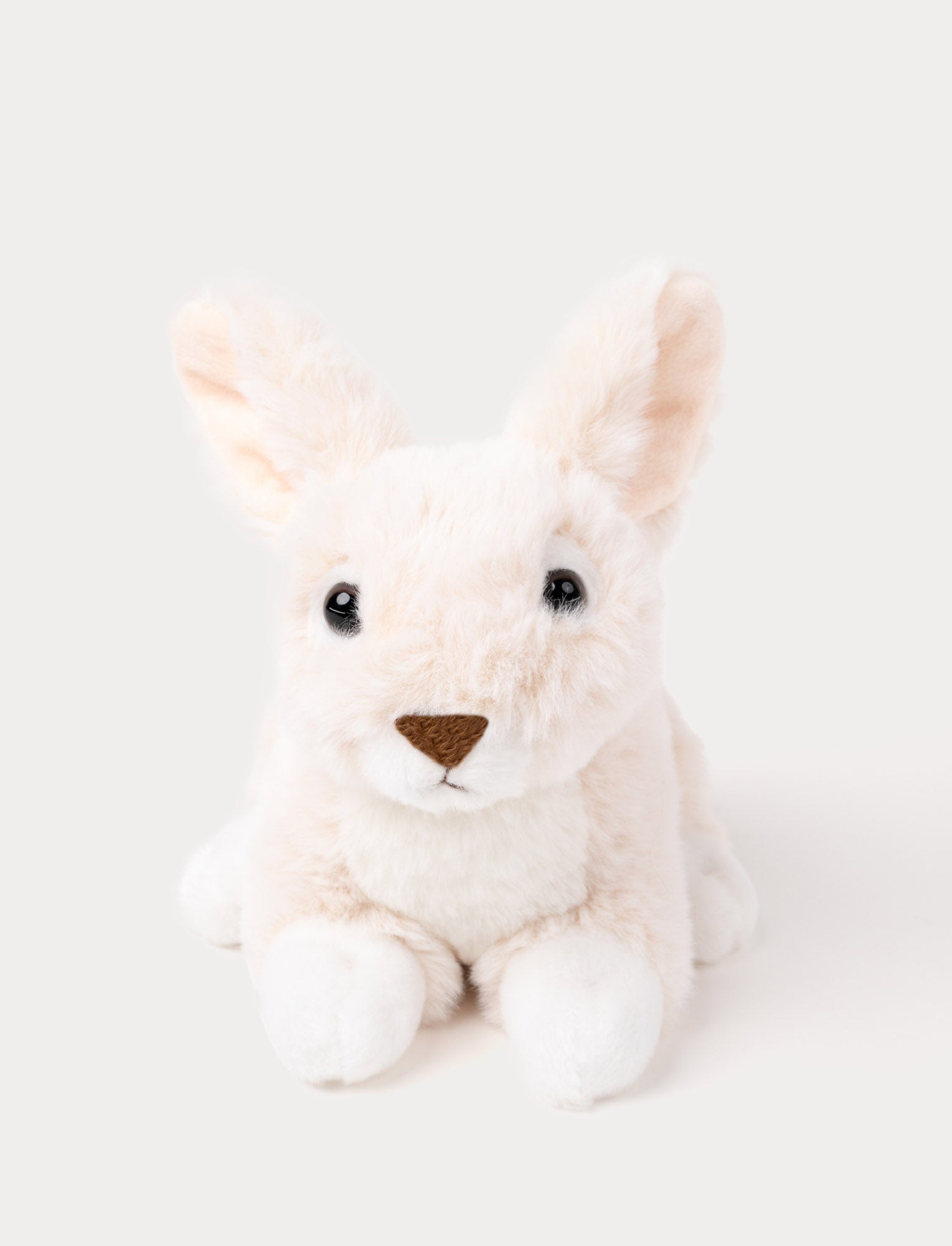  Image of Dreamies Kaniner