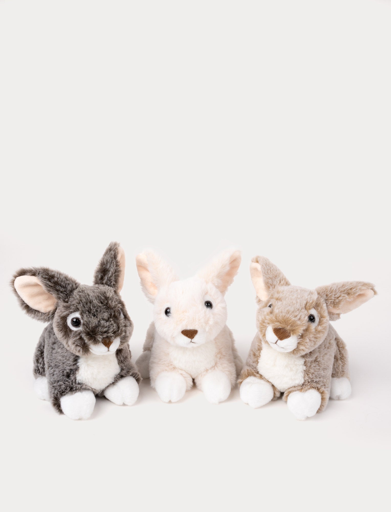  Image of Dreamies, Bunnies