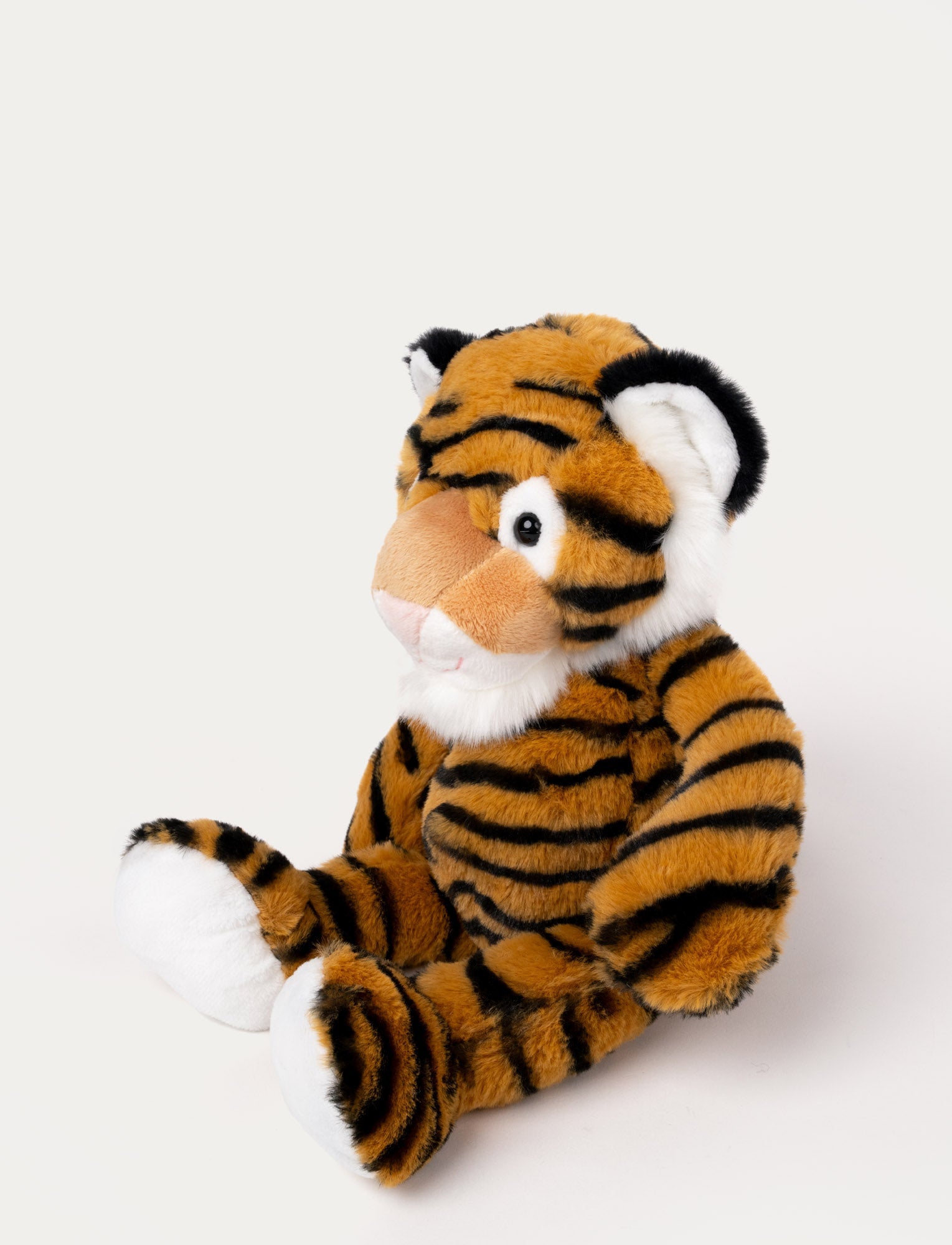  Image of Tiger