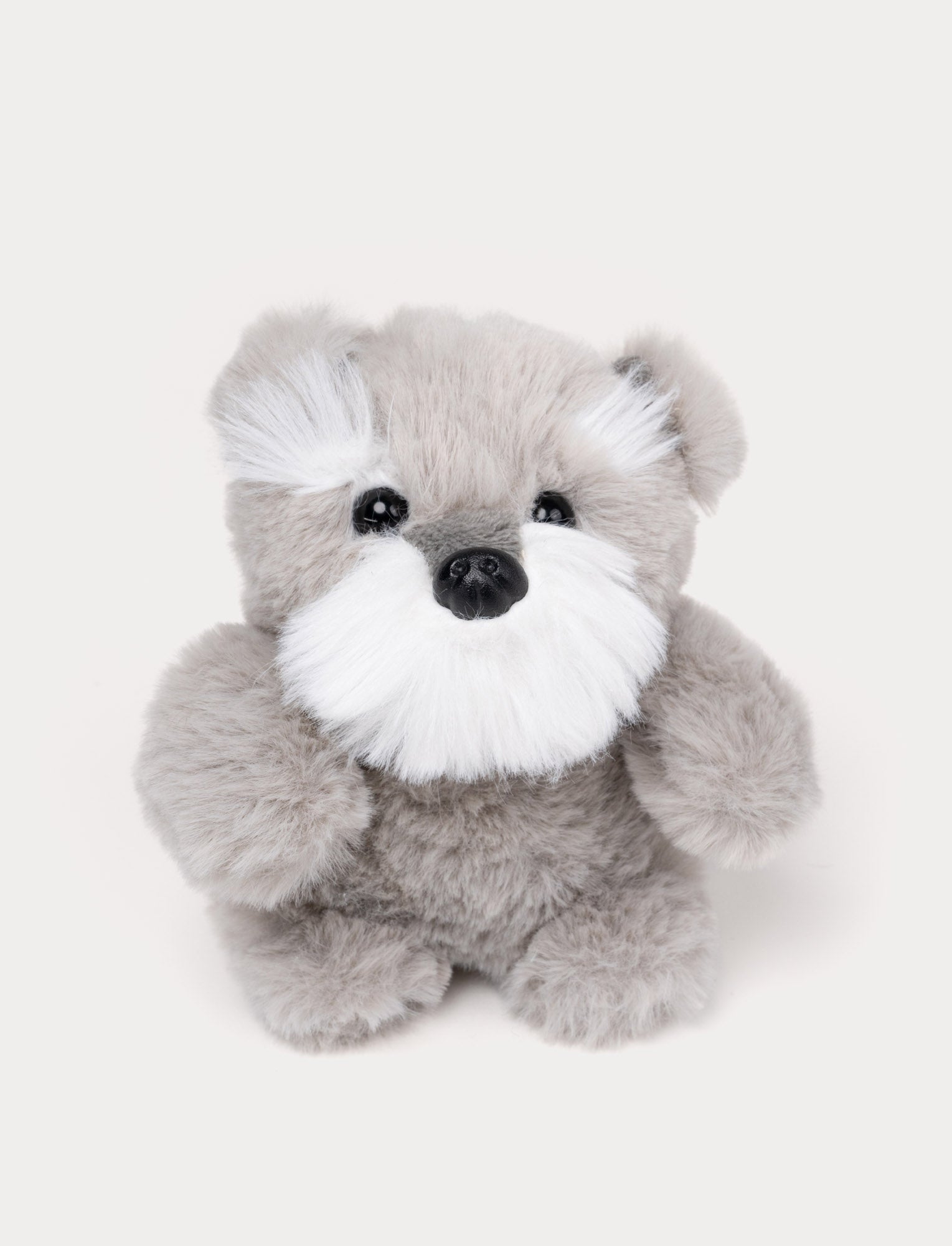  Image of Teddy Dogs, Dogs