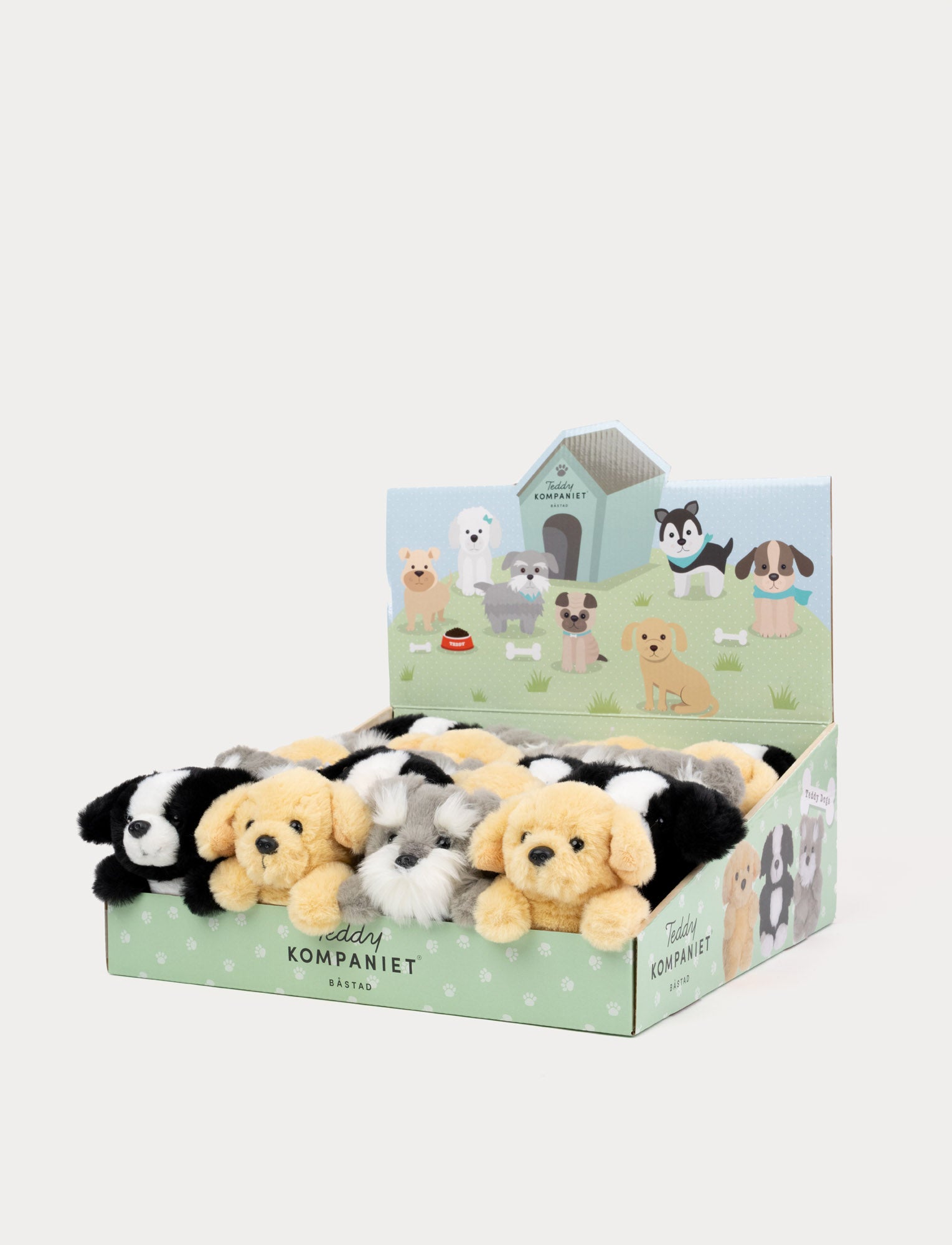  Image of Teddy Dogs, Dogs