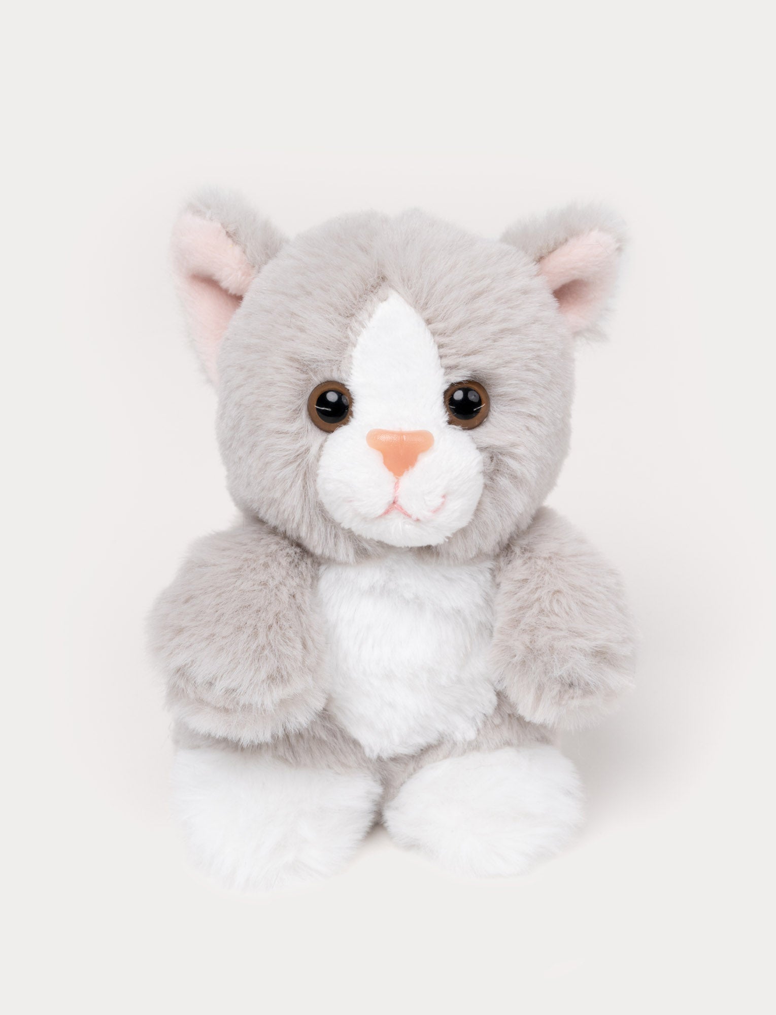  Image of Teddy Cats, Cats