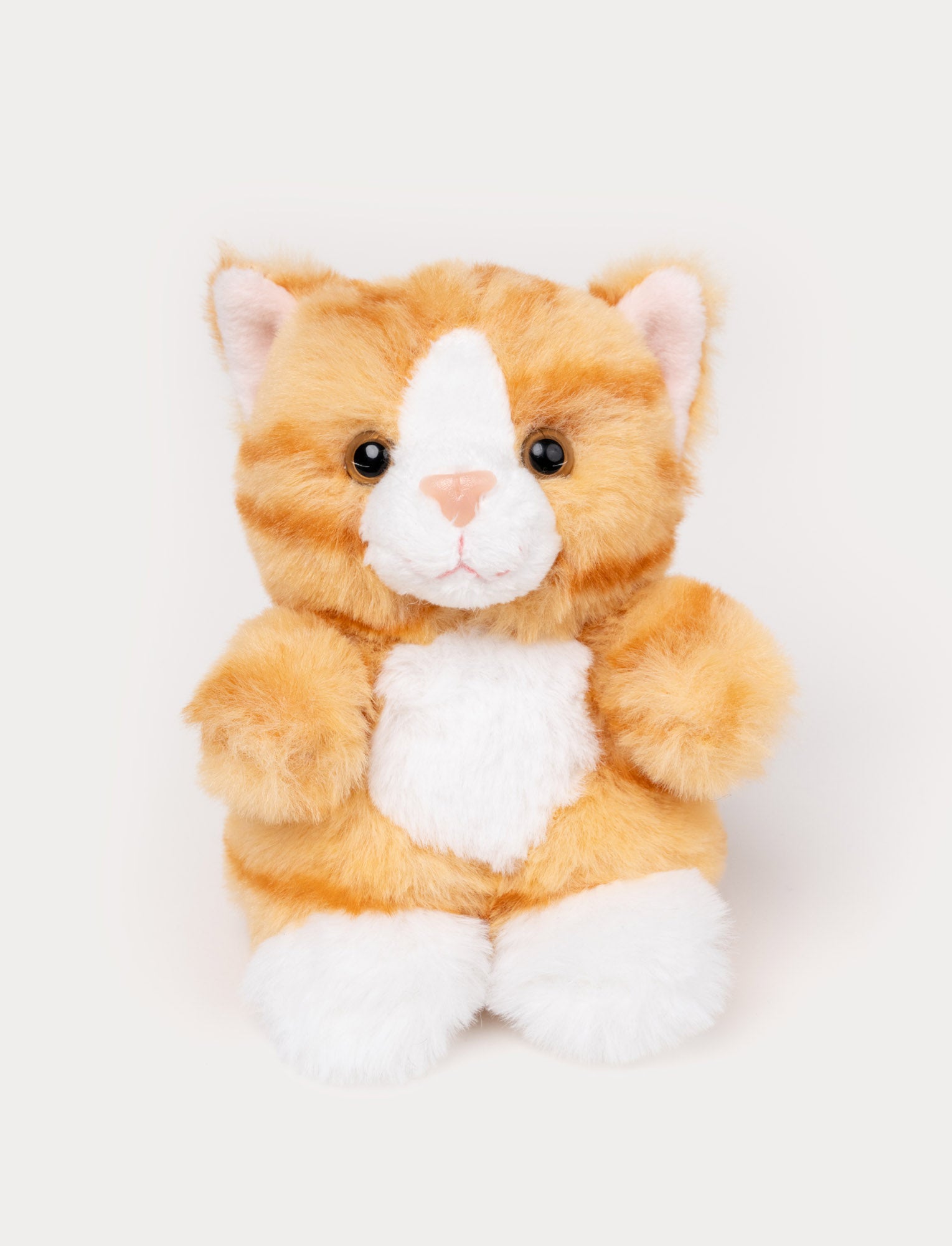  Image of Teddy Cats, Cats