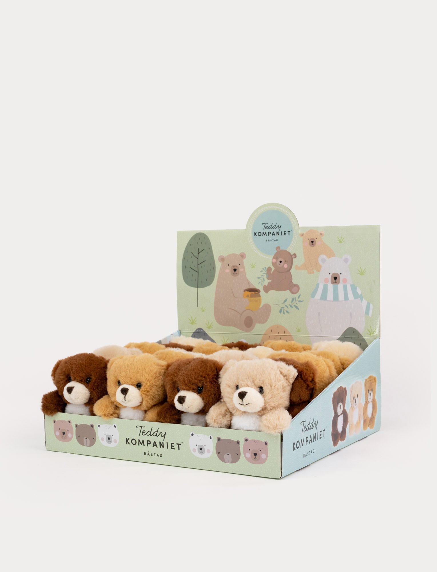  Image of Teddybears