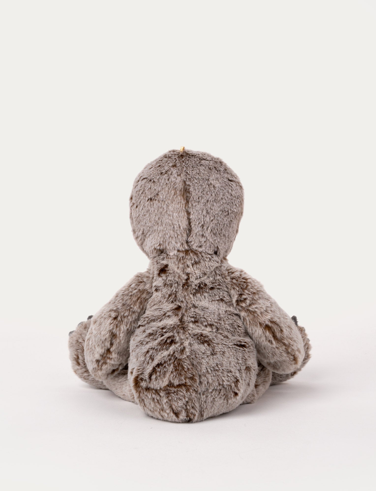  Image of Teddy Wild, Sloth