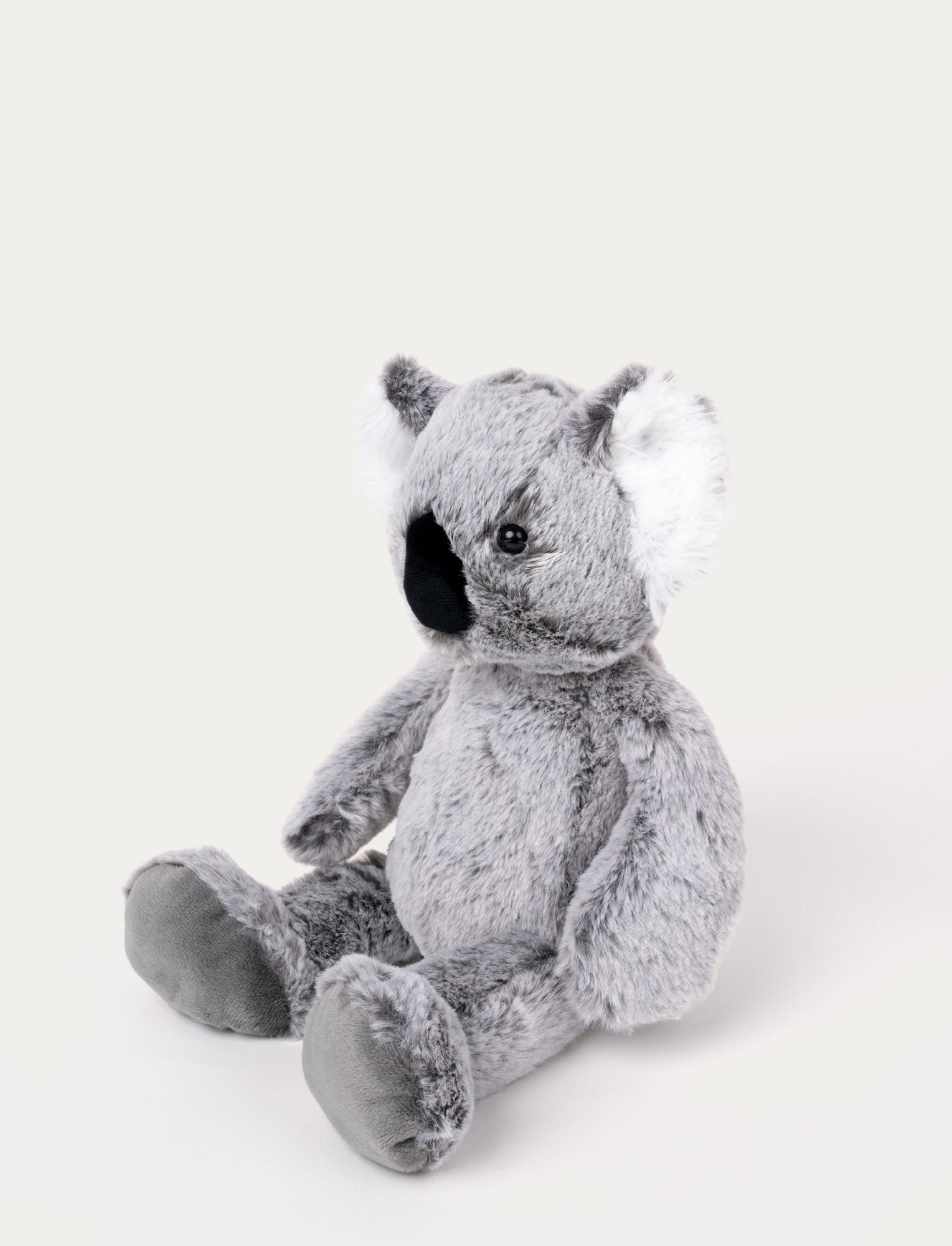  Image of Teddy Wild, Koala