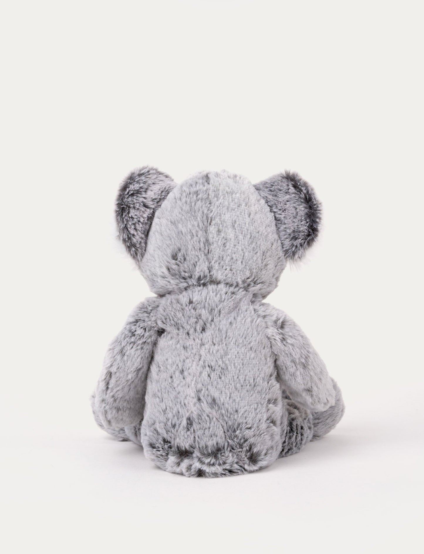 Teddy Wild, Koala