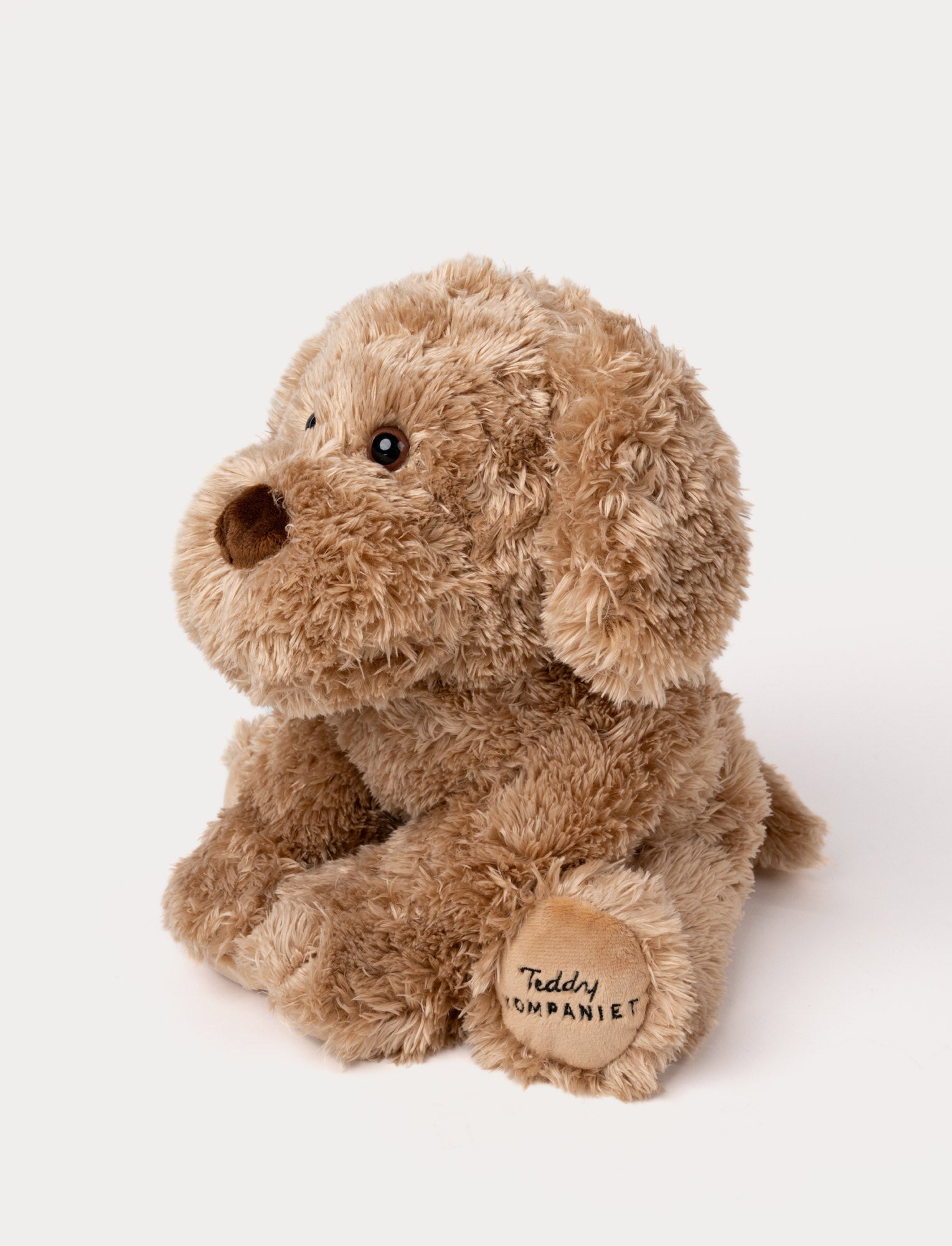  Image of Selma, Dog, Big