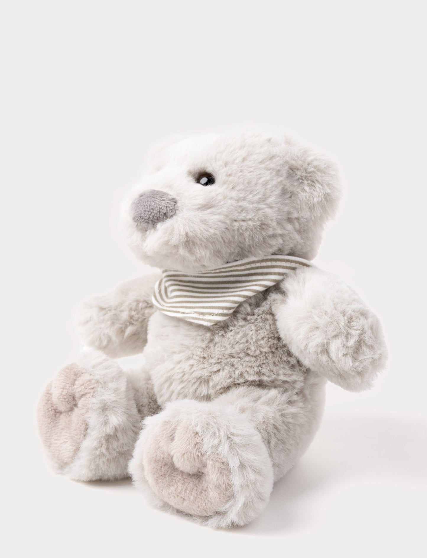 Malte, Teddy Bear, Small