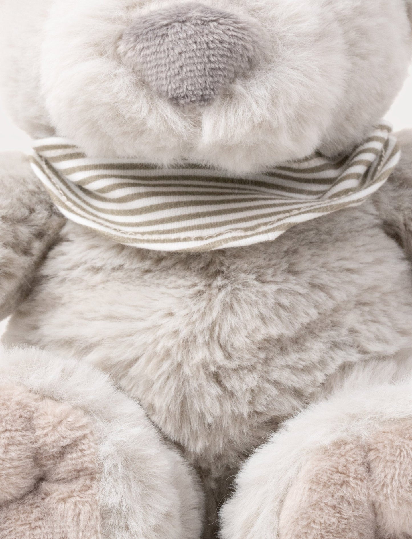 Malte, Teddy Bear, Small