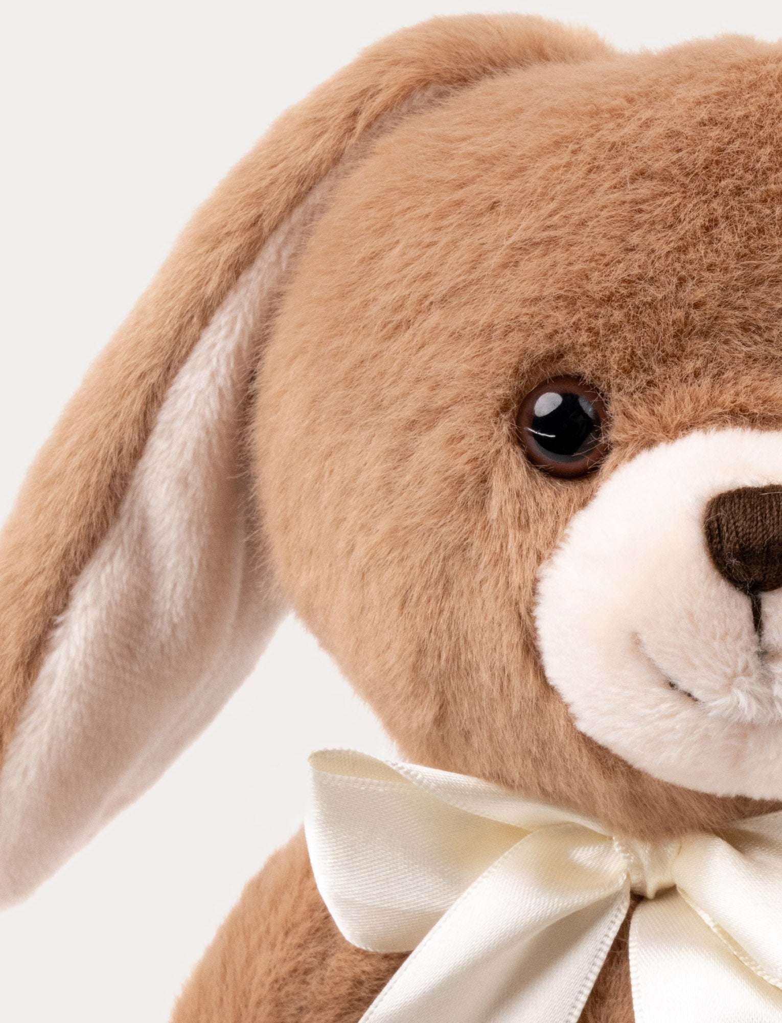  Image of Bestie Bianca, Bunny